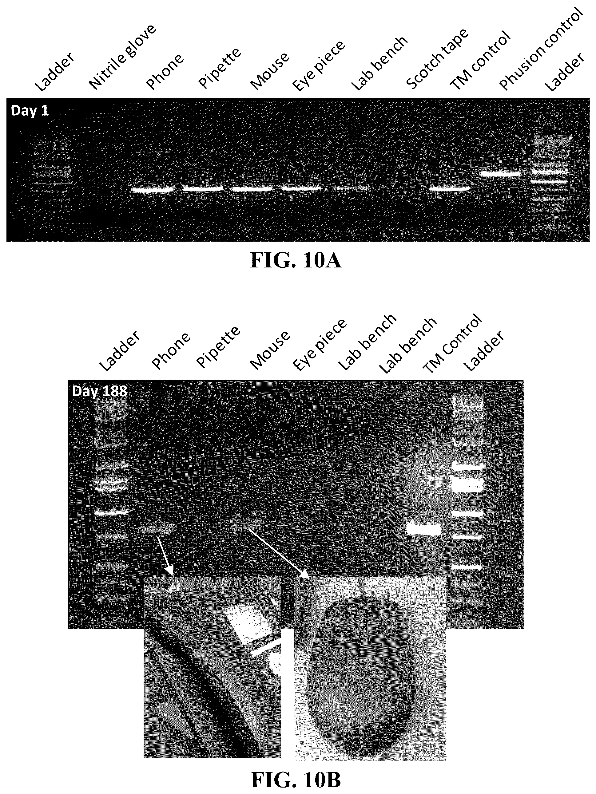 Patent US11854669 Figure 17 – Synthetic nucleic acids for information storage and transmission