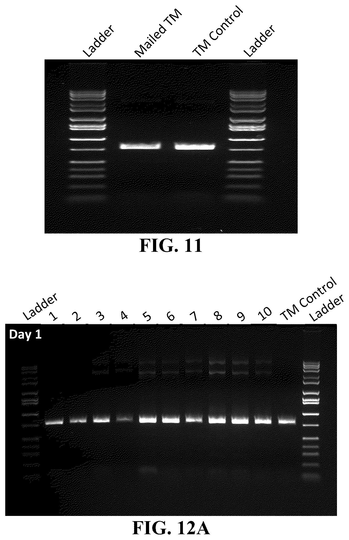 Patent US11854669 Figure 18 – Synthetic nucleic acids for information storage and transmission