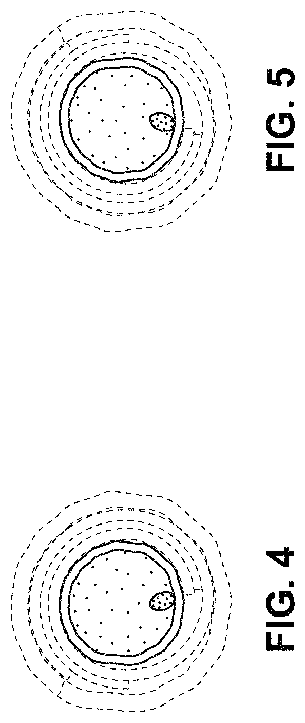 Patent USD0999476 Figure 3 – Wrapped pet treat