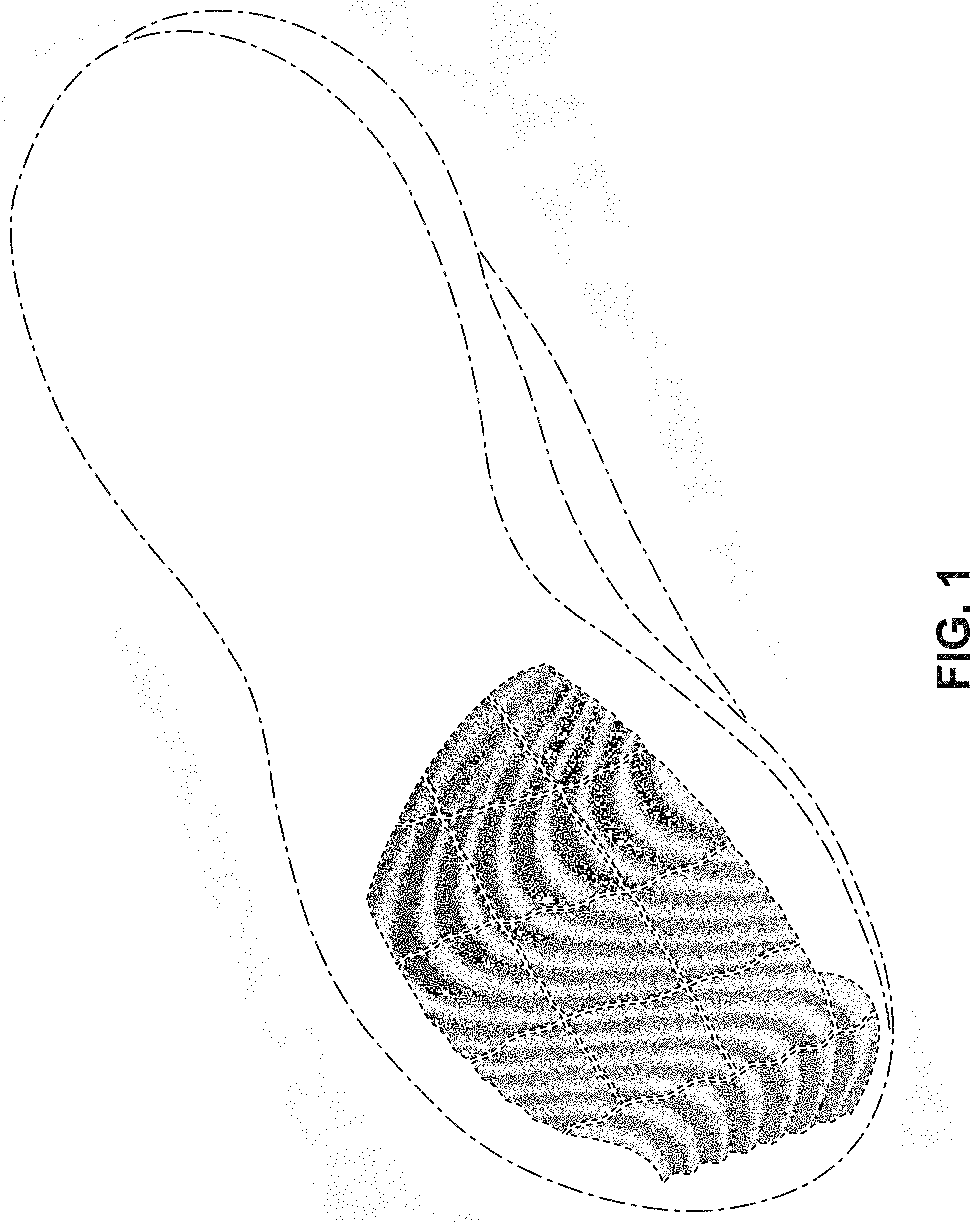 Patent USD1000071 Figure 1 – Shoe