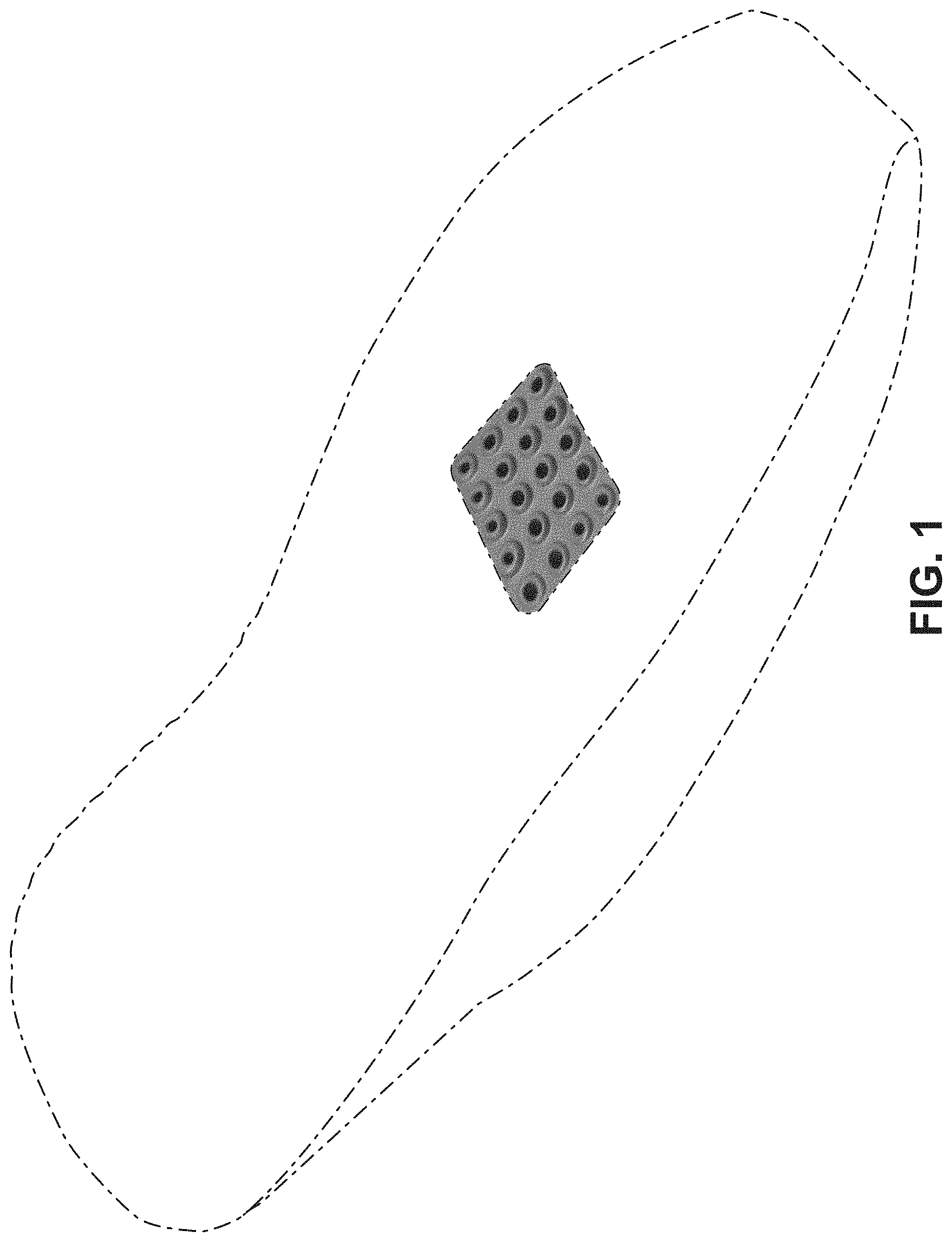 Patent USD1000074 — Shoe — Figure 1