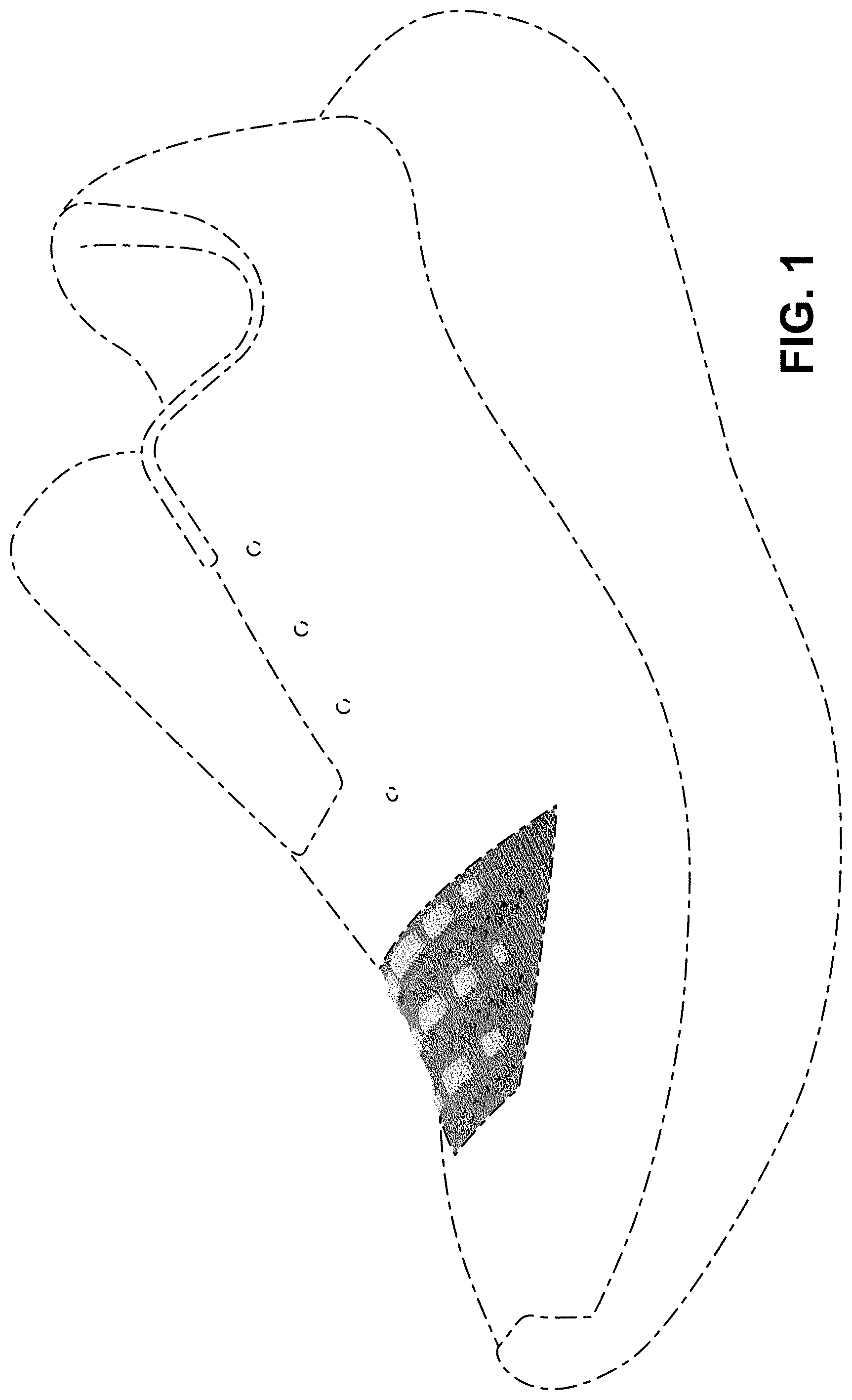 Patent USD1000098 Figure 1 – Shoe