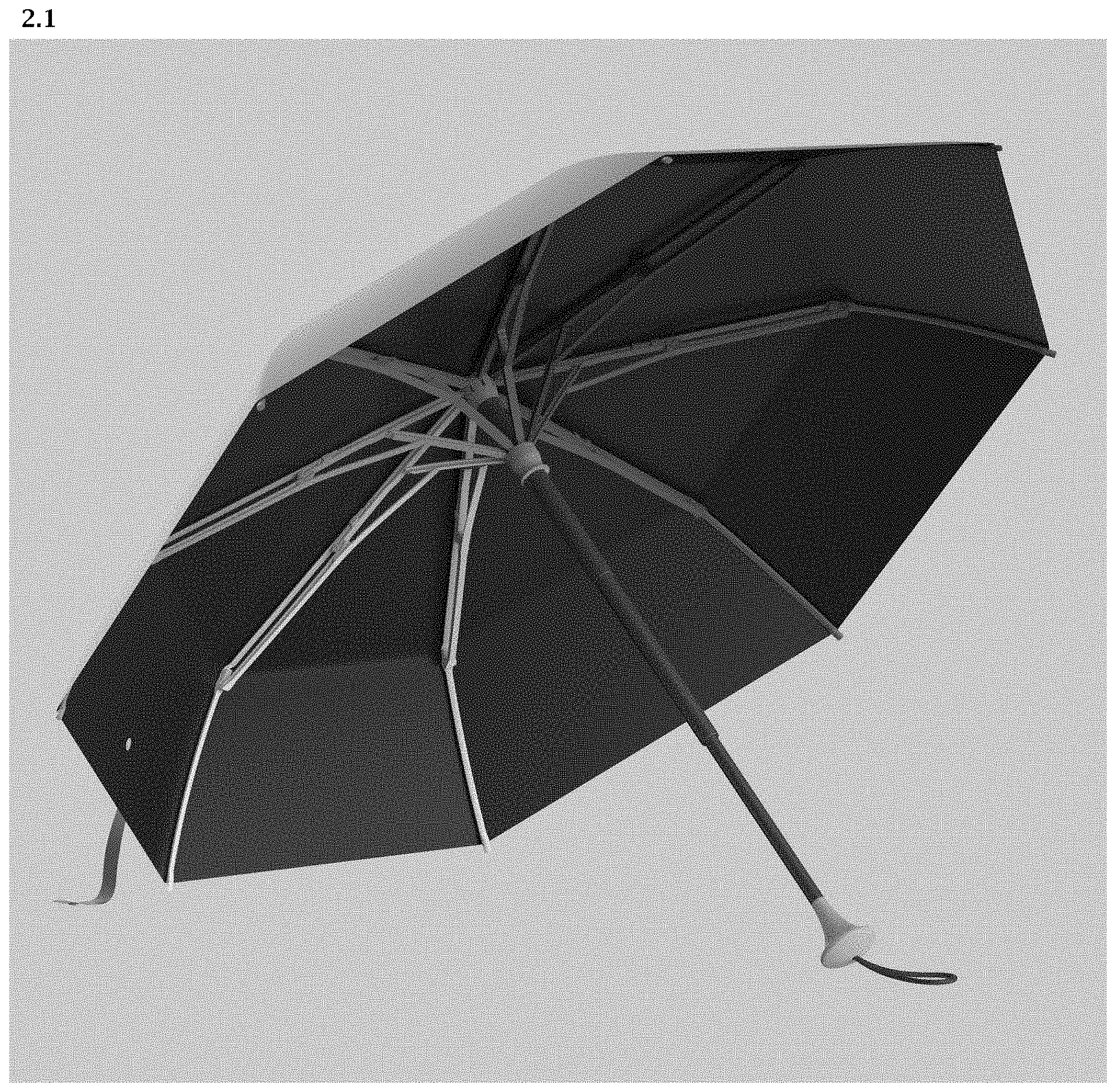 Patent USD1000101 Figure 5 – Umbrella