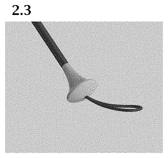 Patent USD1000101 Figure 7 – Umbrella