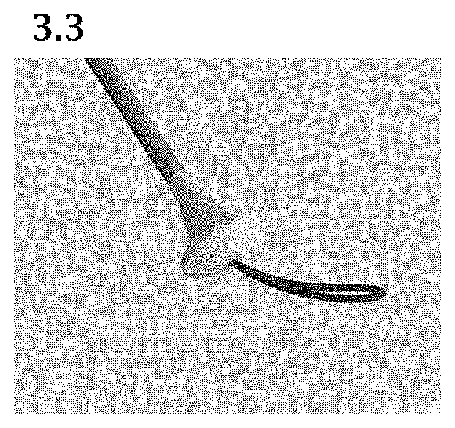Patent USD1000101 Figure 11 – Umbrella