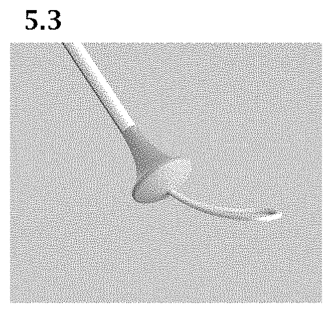 Patent USD1000101 Figure 19 – Umbrella