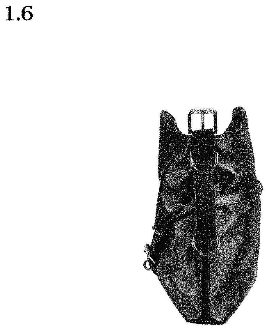 Patent USD1000110 Figure 6 – Handbag