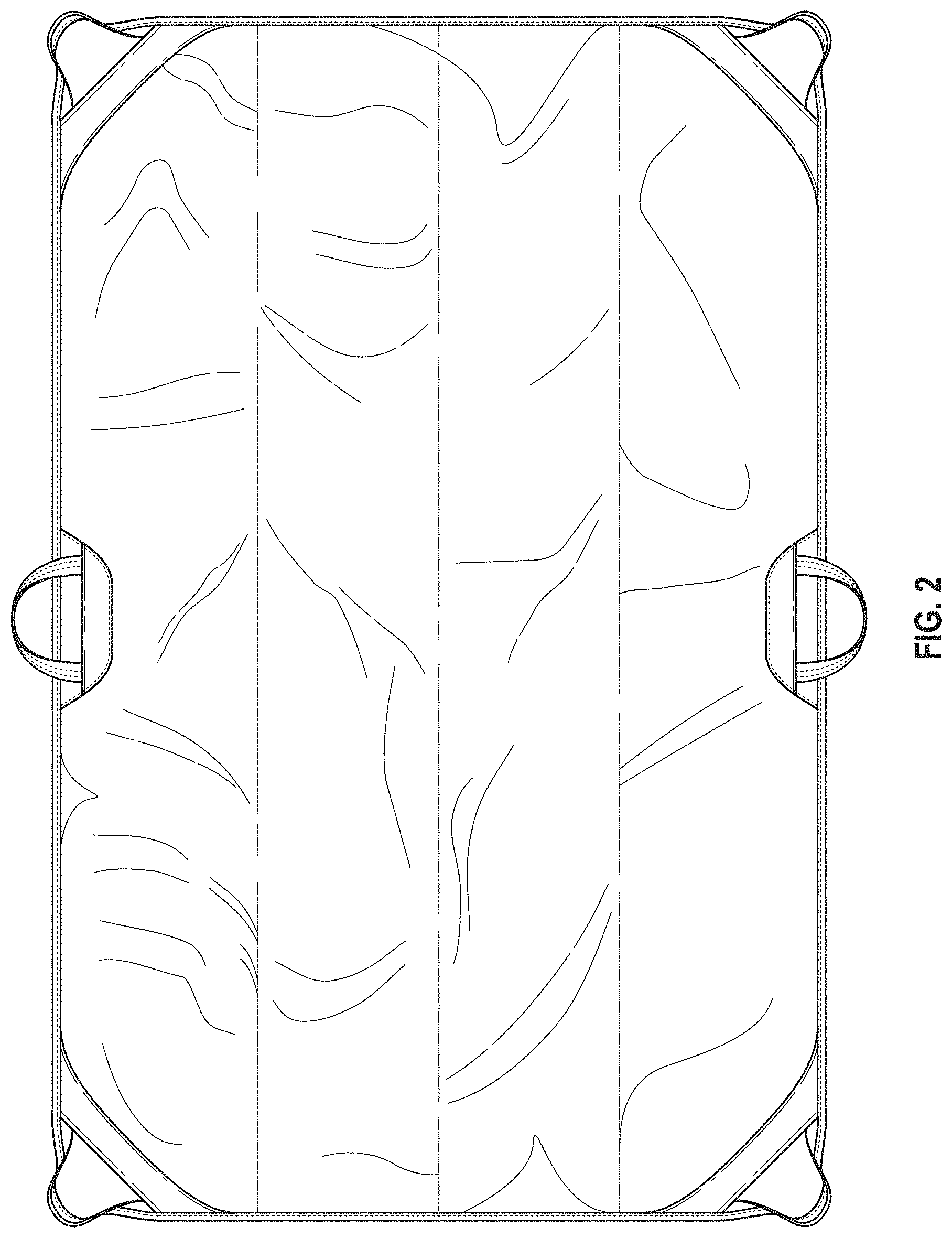 Patent USD1000351 Figure 2 – Tarp