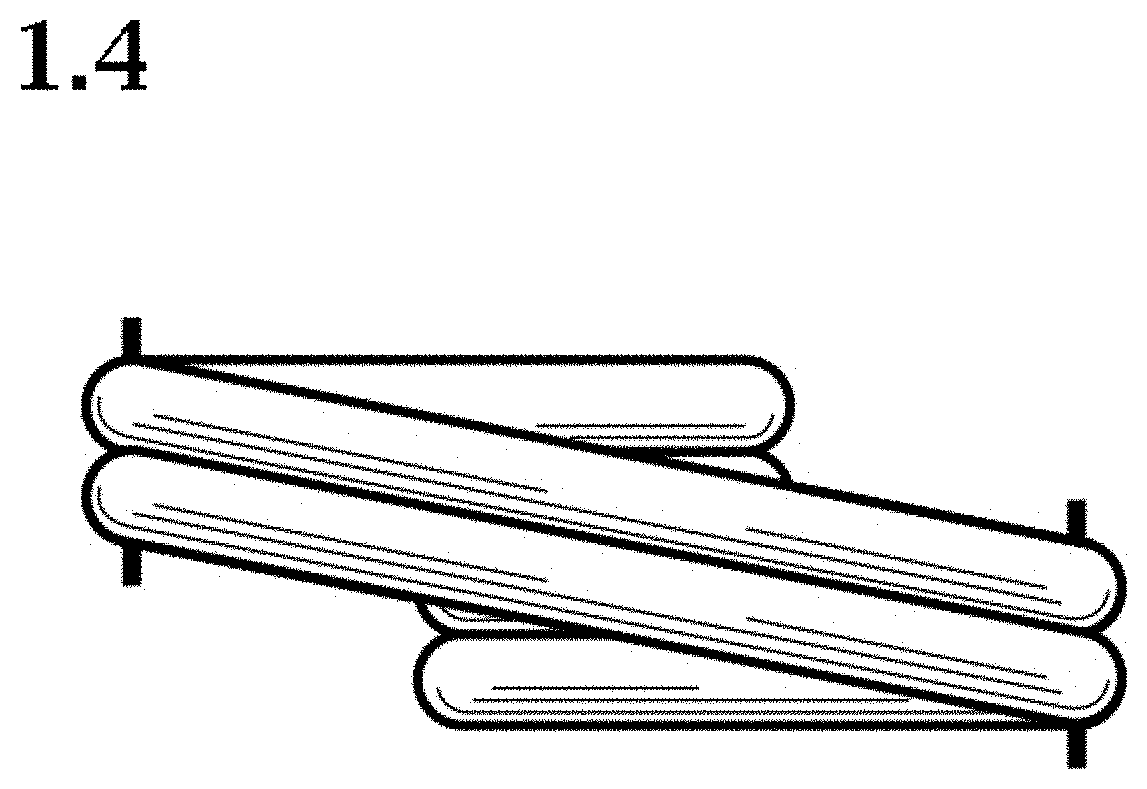 Patent USD1000579 Figure 4 – Insect pest control delivery device