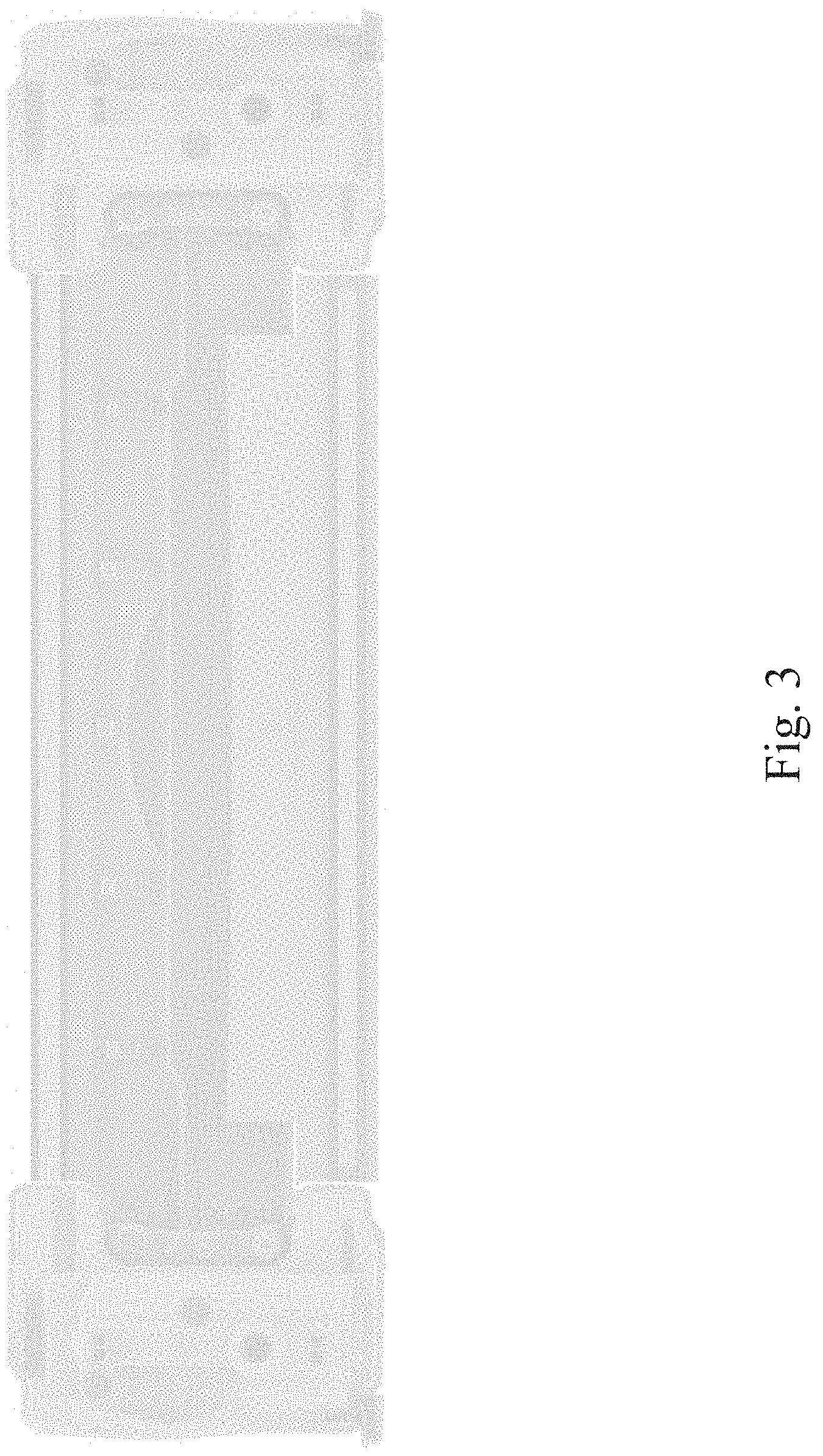 Patent USD1000653 Figure 3 – Full LED daytime running lamp grille