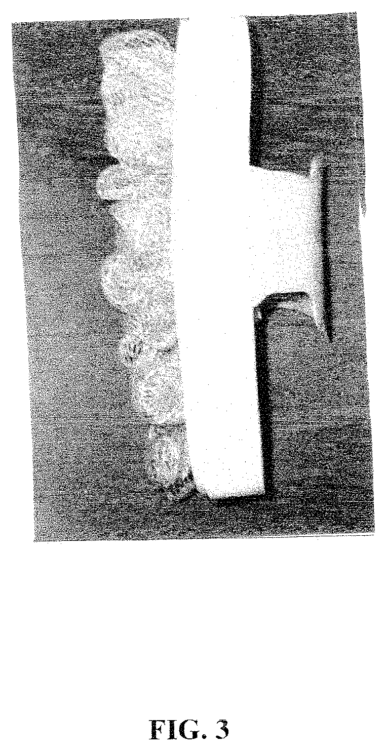 Patent USD1000710 Figure 2 – Soap-filled bath sponge