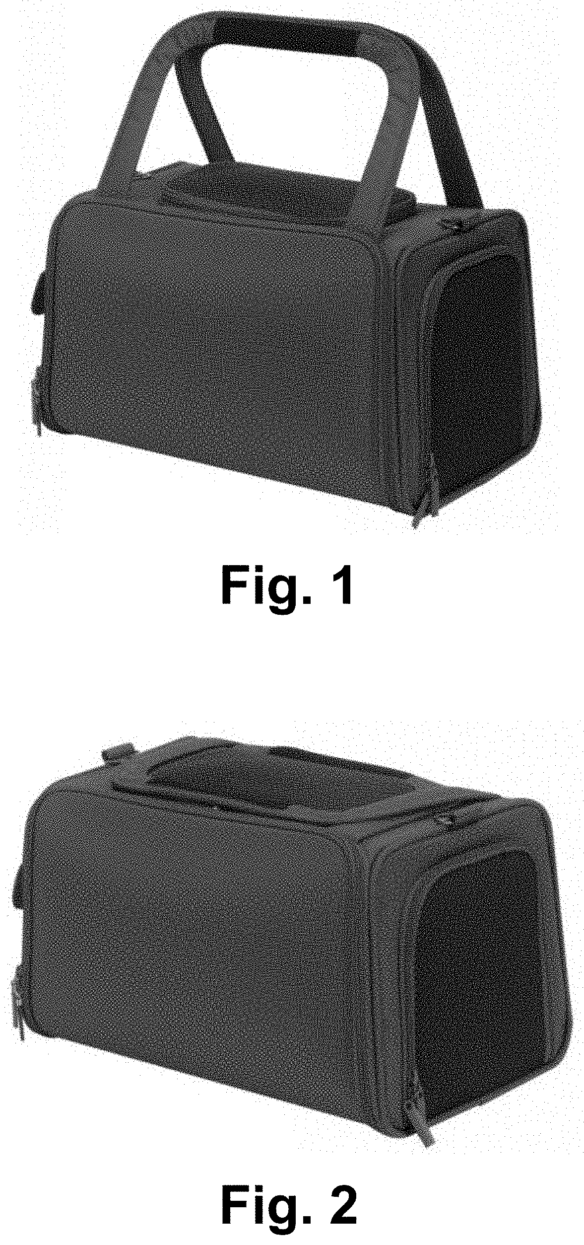 Patent USD1000716 Figure 1 – Pet carrier