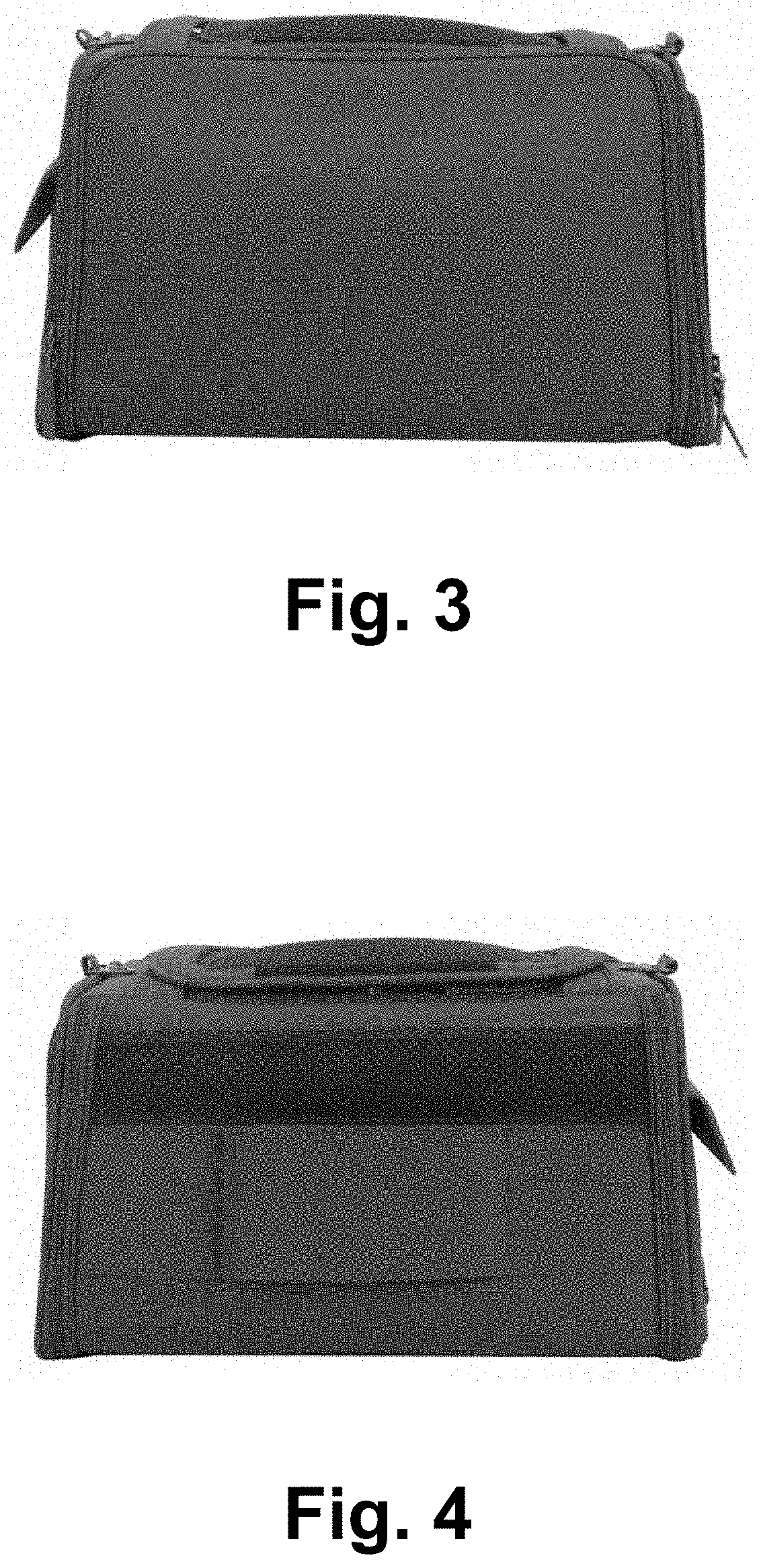 Patent USD1000716 Figure 2 – Pet carrier