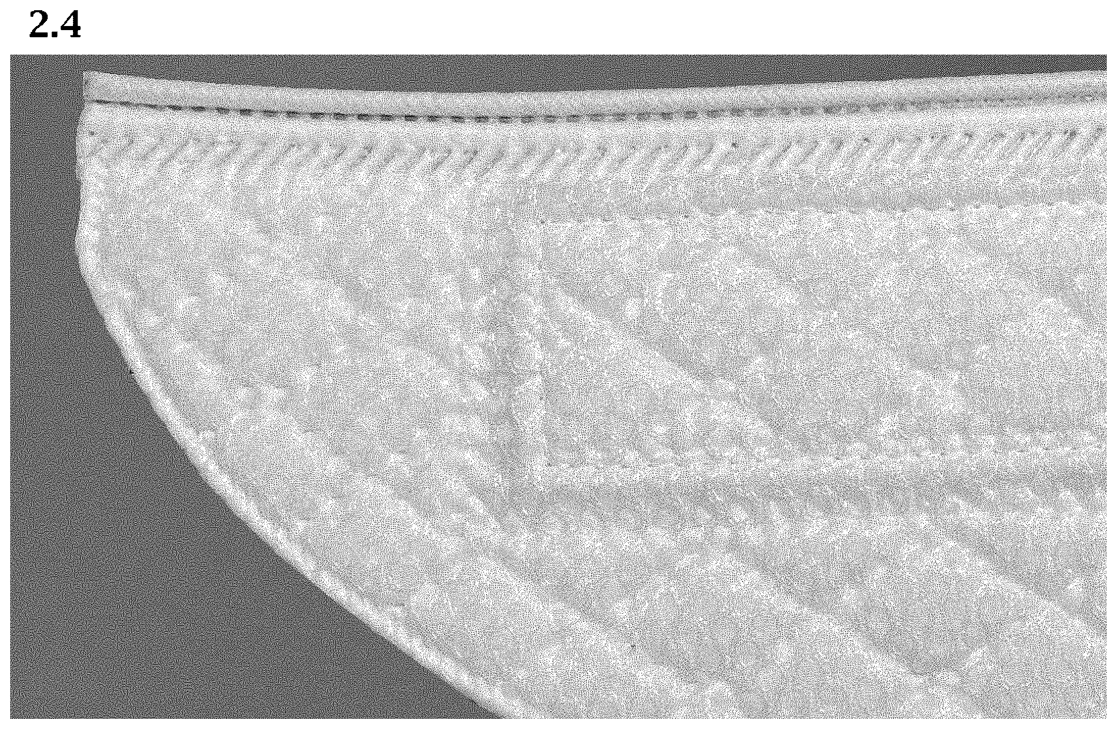 Patent USD1000742 Figure 9 – Replaceable cleaning cloth for robotic cleaner