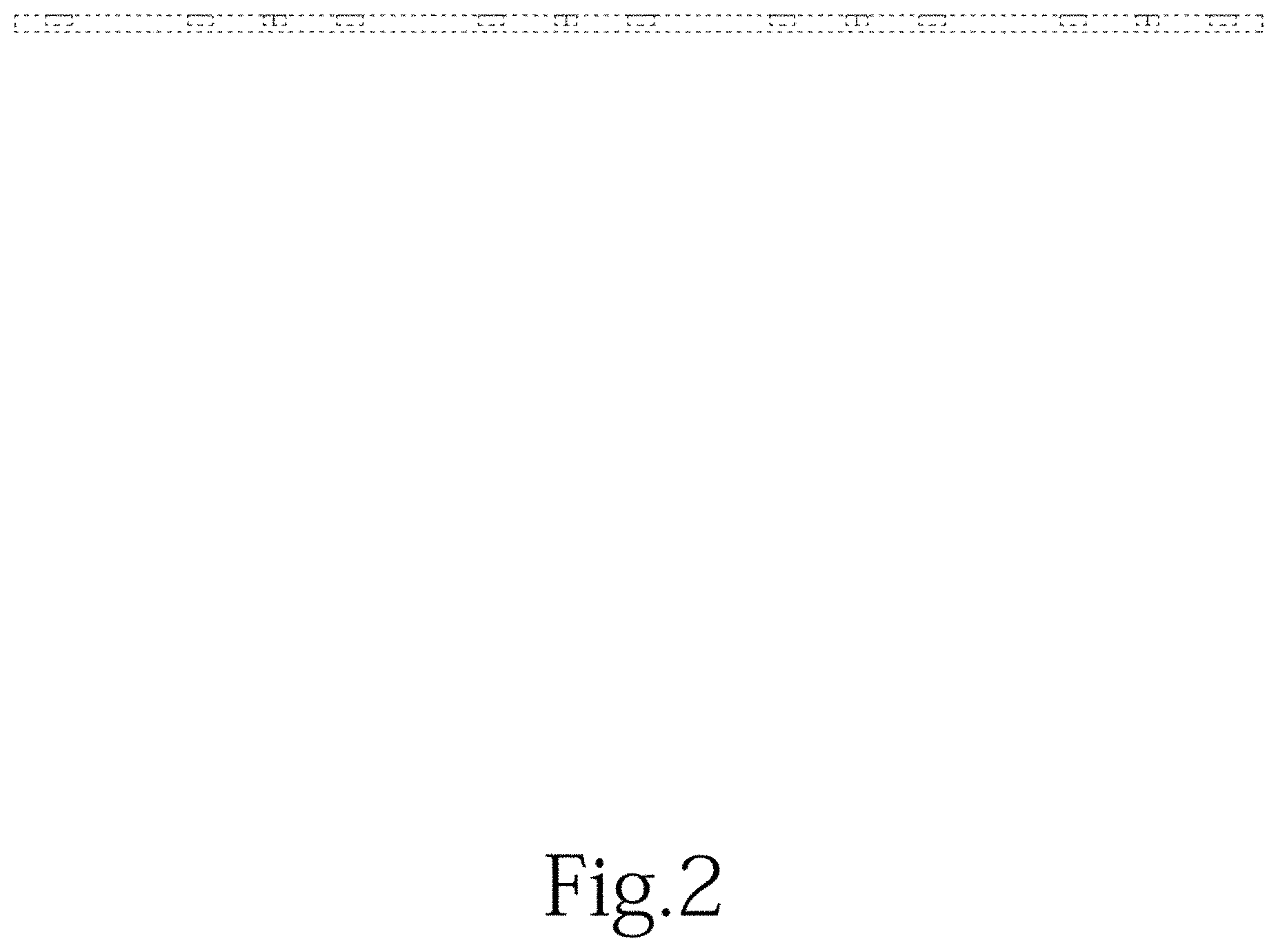 Patent USD1000868 Figure 2 – Floor mat