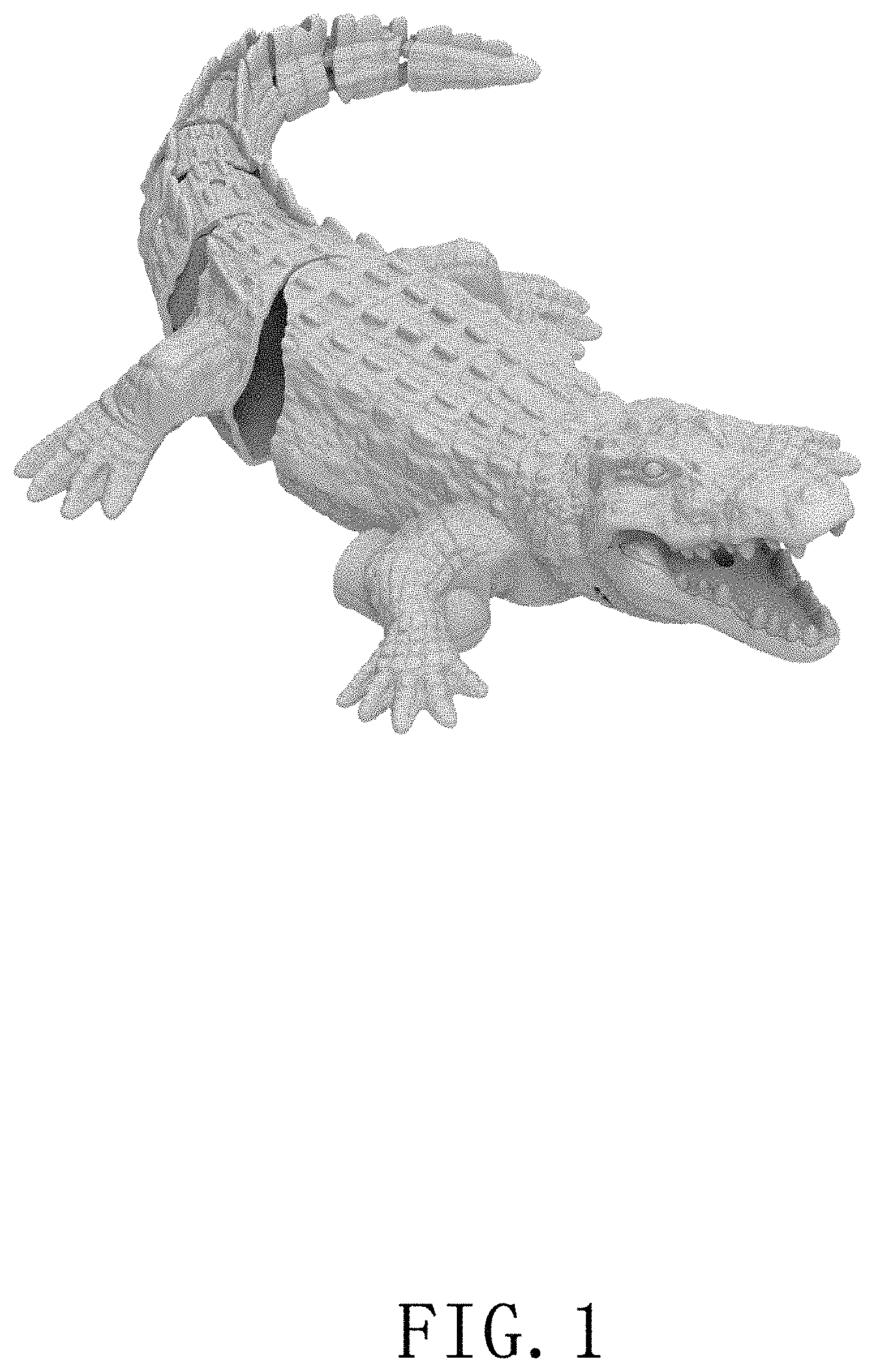 Patent USD1001209 Figure 1 – Remote-controlled crocodile