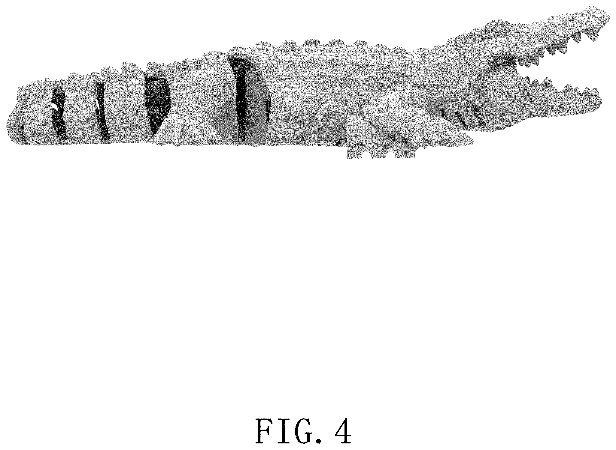 Patent USD1001209 Figure 4 – Remote-controlled crocodile