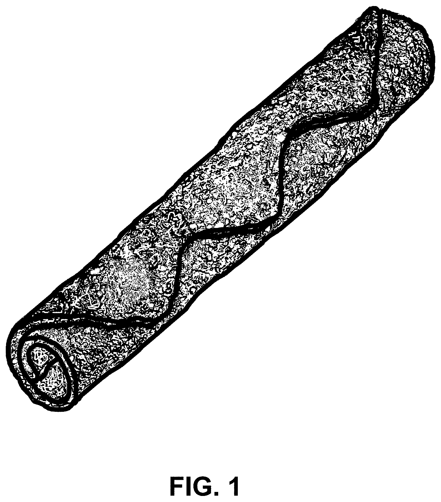 Patent USD1001414 Figure 1 – Food product