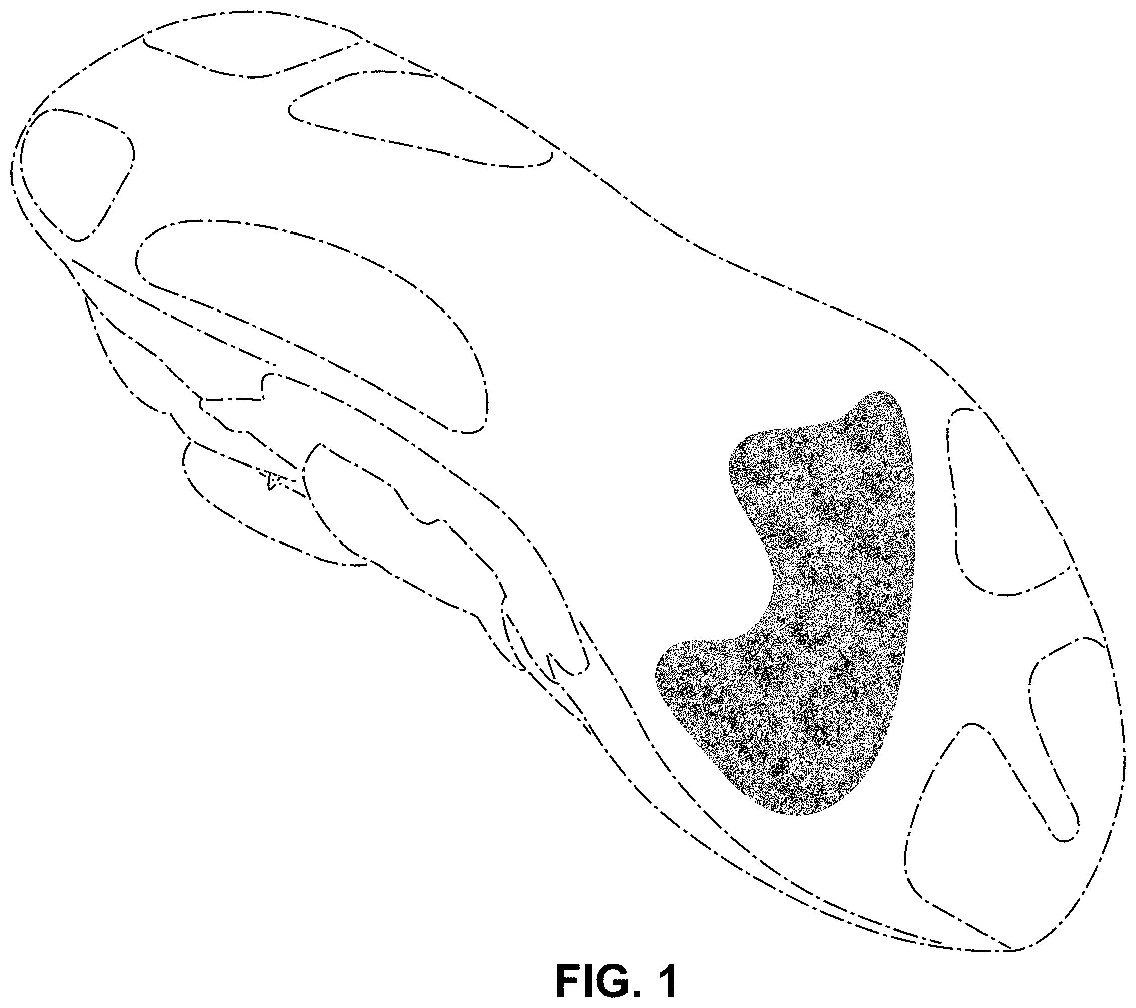 Patent USD1001443 Figure 1 – Shoe