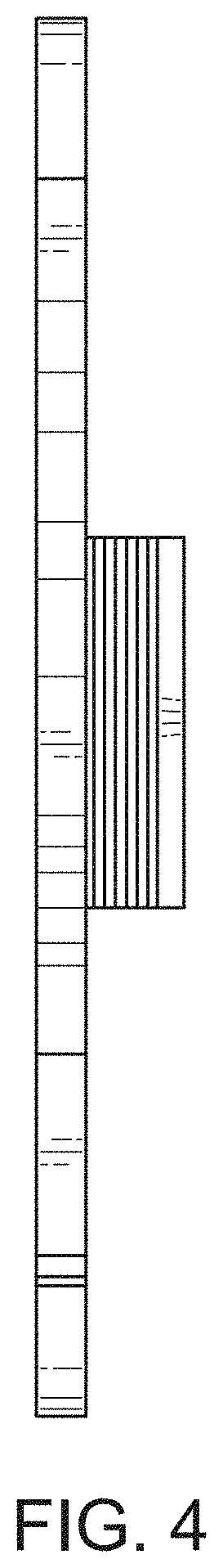 Patent USD1001480 Figure 4 – Decorative clip for laces