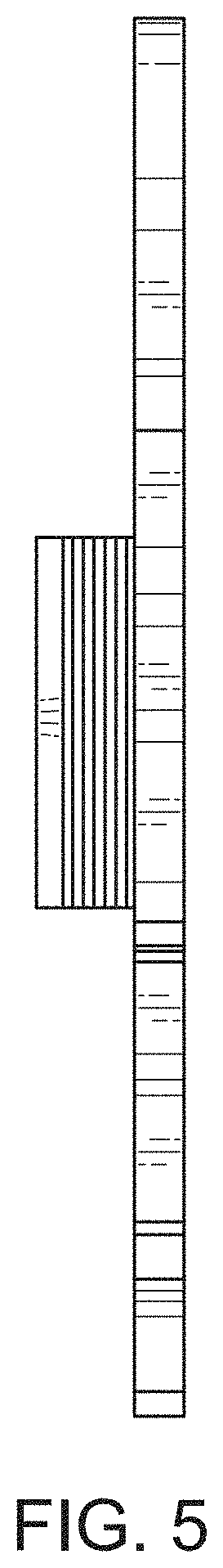 Patent USD1001480 Figure 5 – Decorative clip for laces