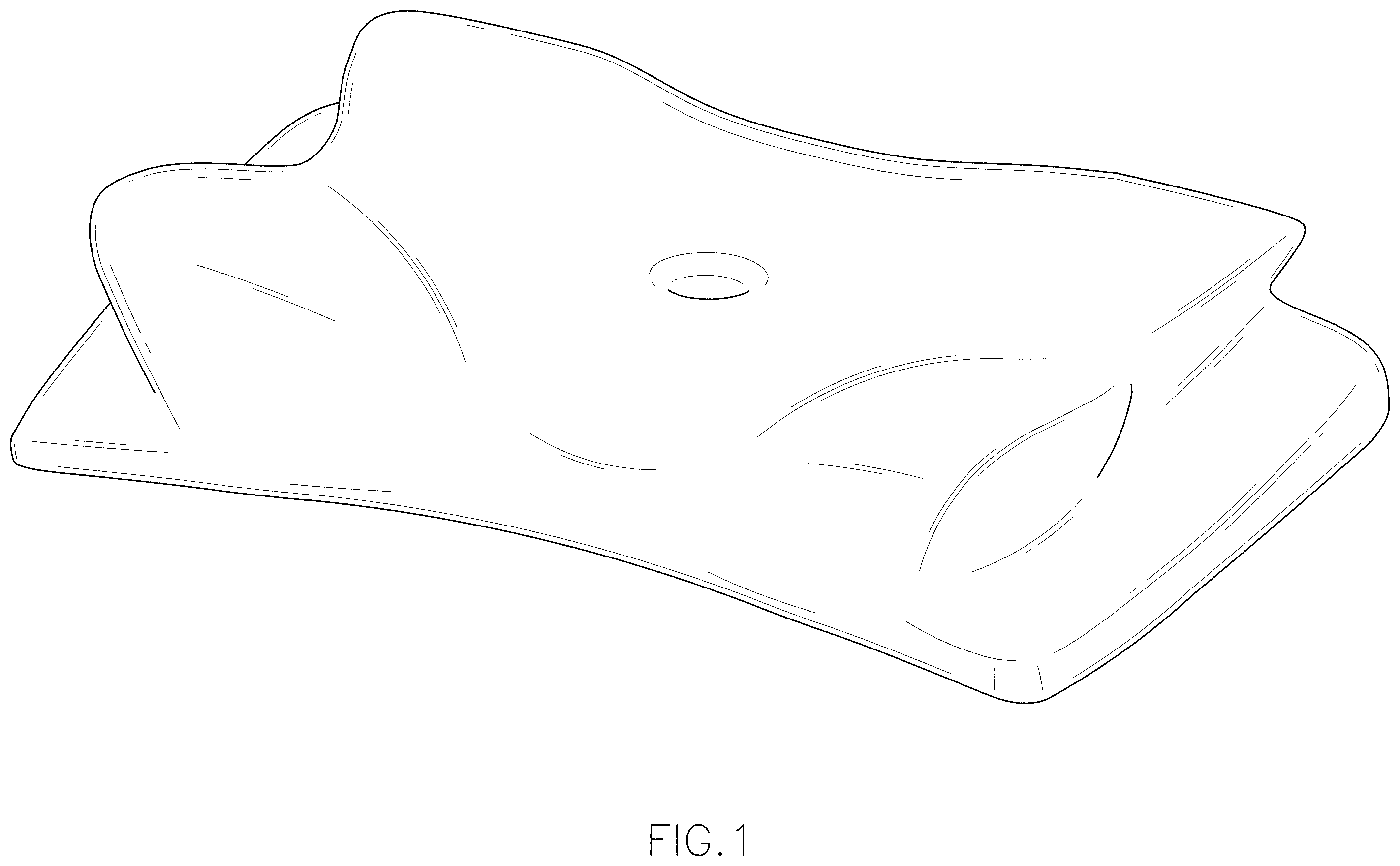 Patent USD1001554 Figure 1 – Butterfly-shaped pillow