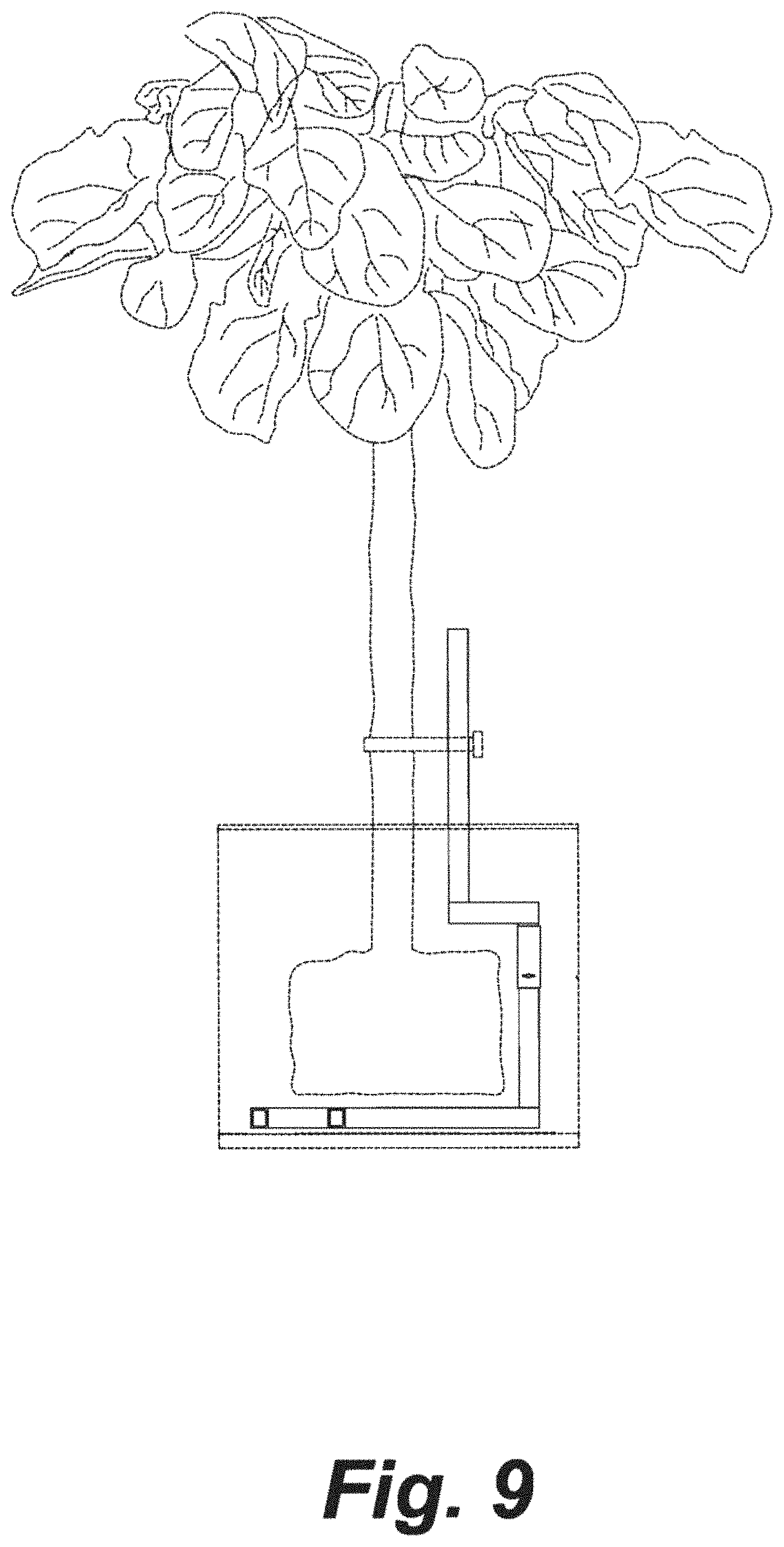 Patent USD1001599 Figure 8 – Tree and plant staking bar
