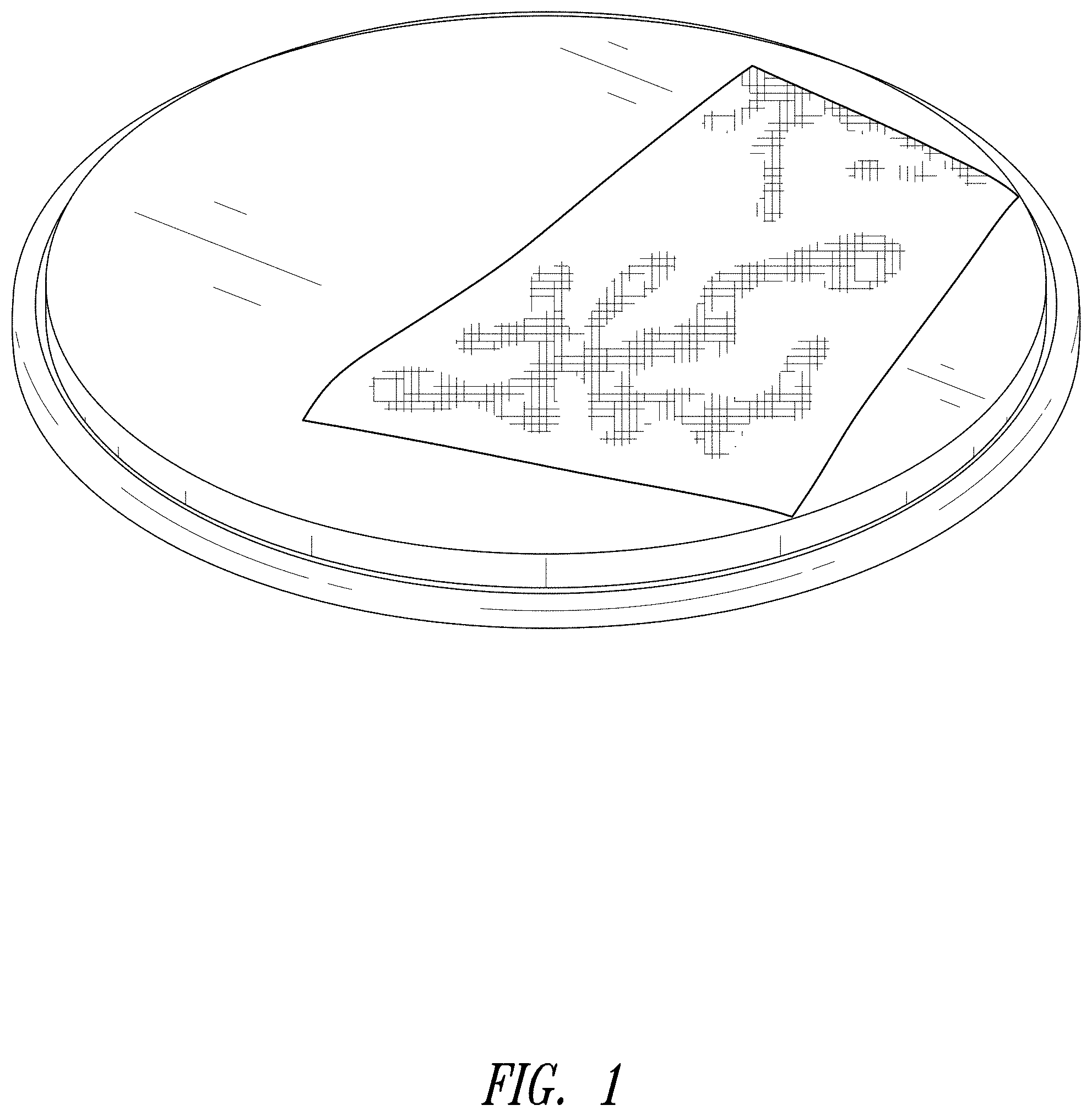 Patent USD1001925 — Slider disc with strap — Figure 1