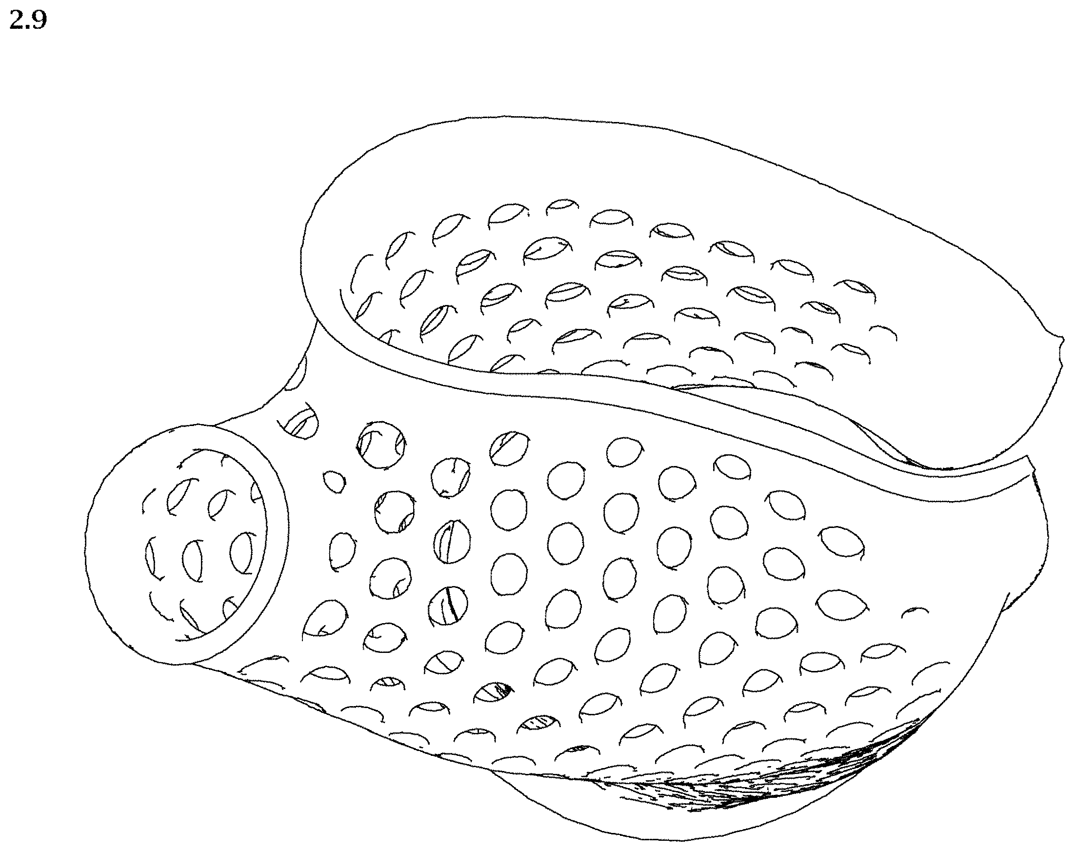 Patent USD1002021 Figure 9 – Wrist and thumb splint