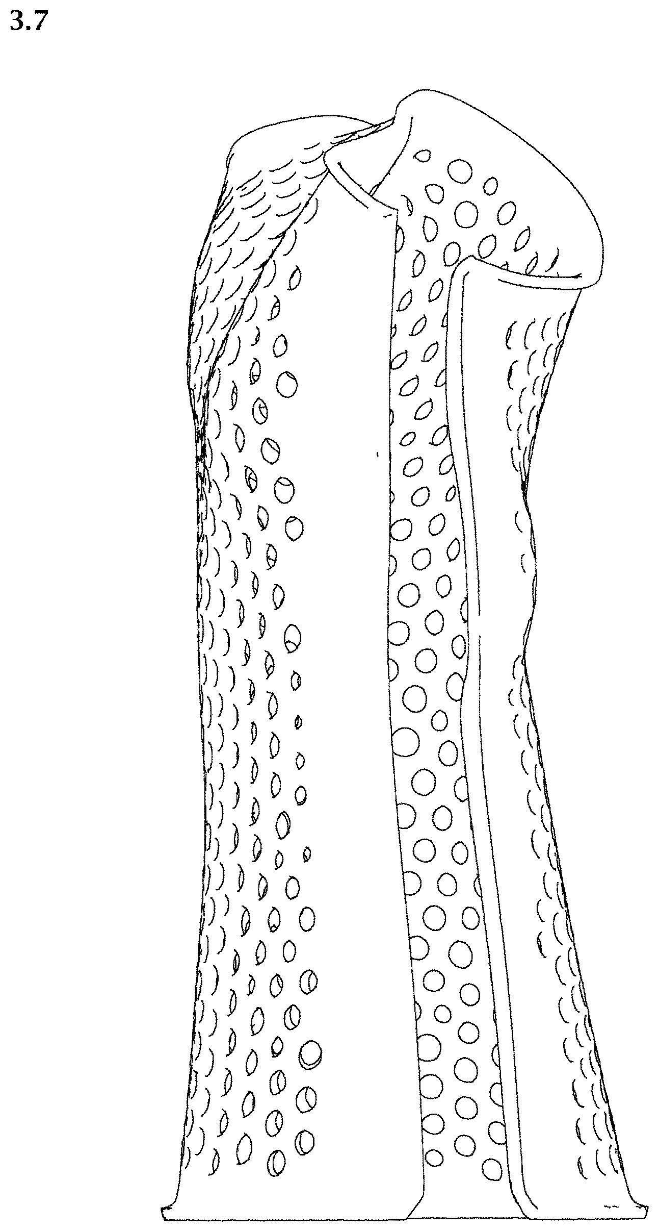 Patent USD1002021 Figure 17 – Wrist and thumb splint