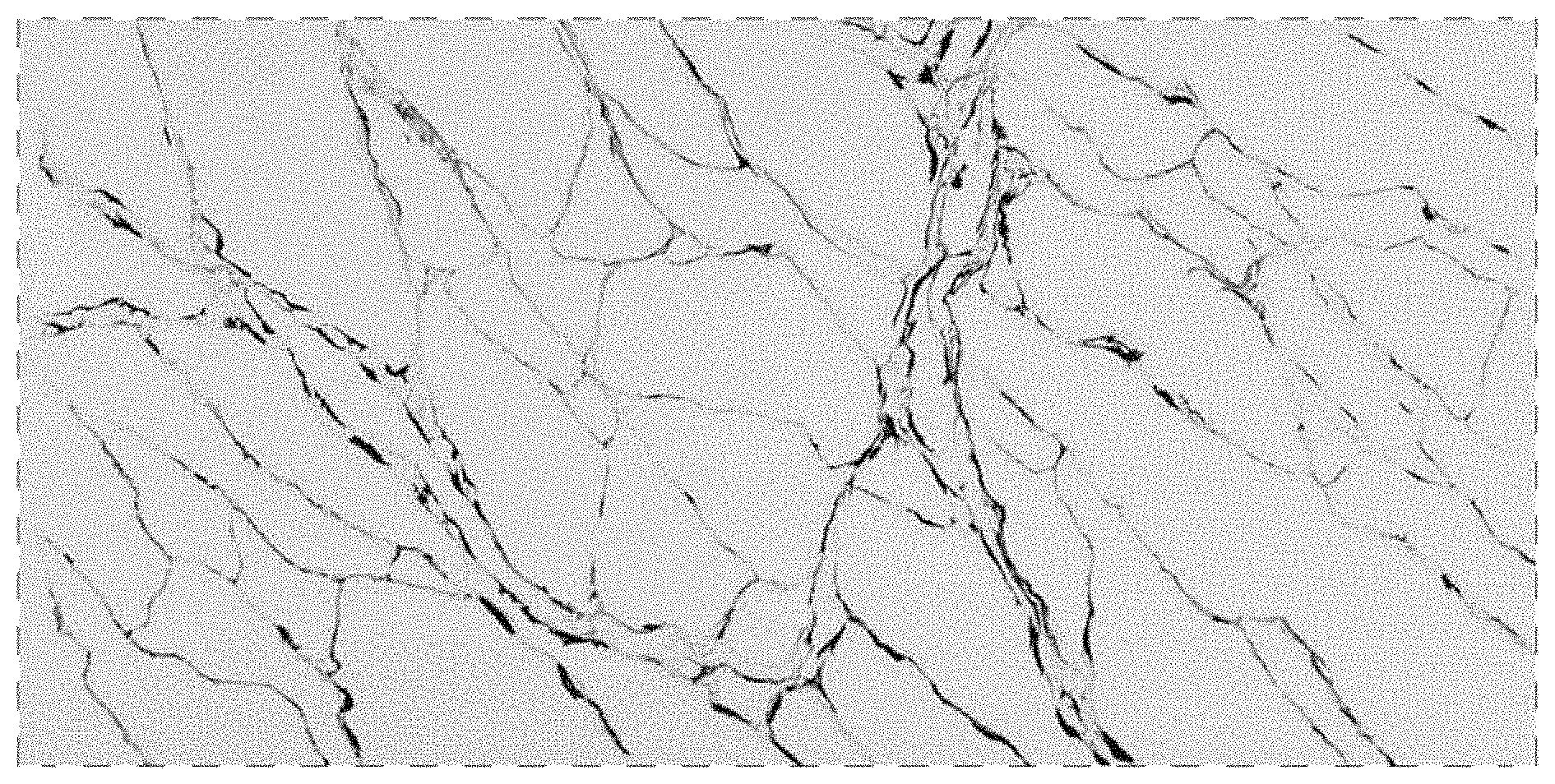 Patent USD1002036 Figure 1 – Artificial quartz stone slab pattern