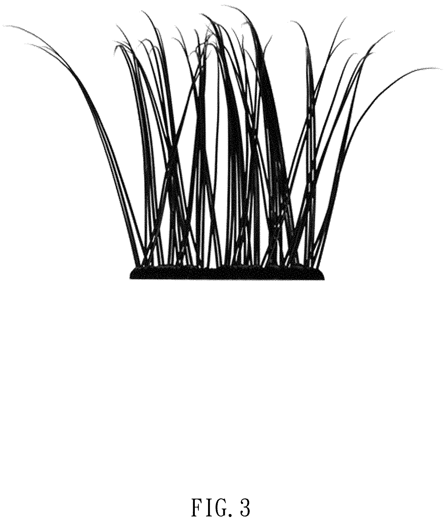 Patent USD1002110 Figure 3 – False eyelashes