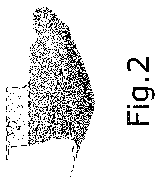 Patent USD1008114 Figure 2 – Vehicle rear skid plate