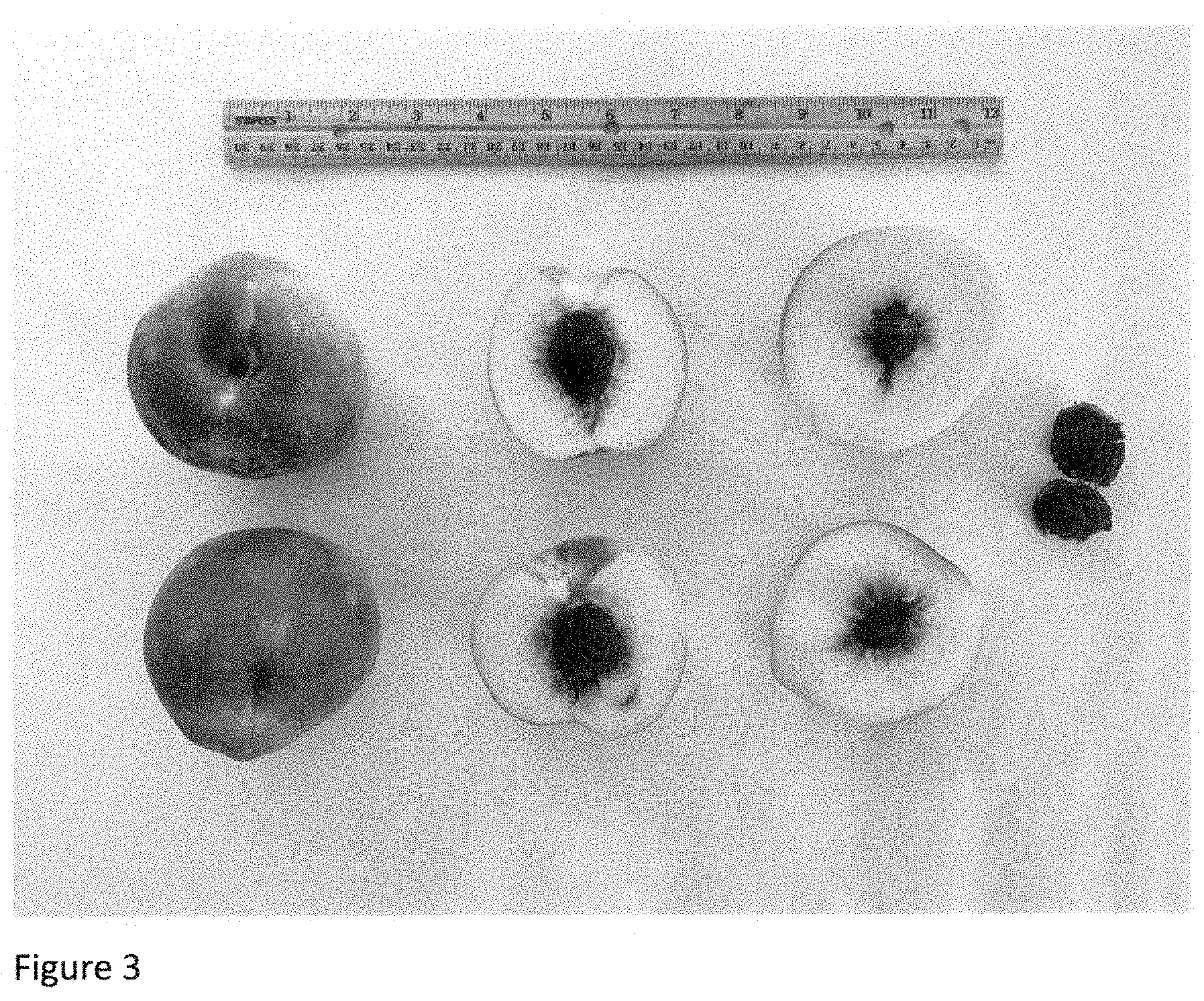Patent USPP035394 Figure 3 – Peach tree named ‘NJ362’