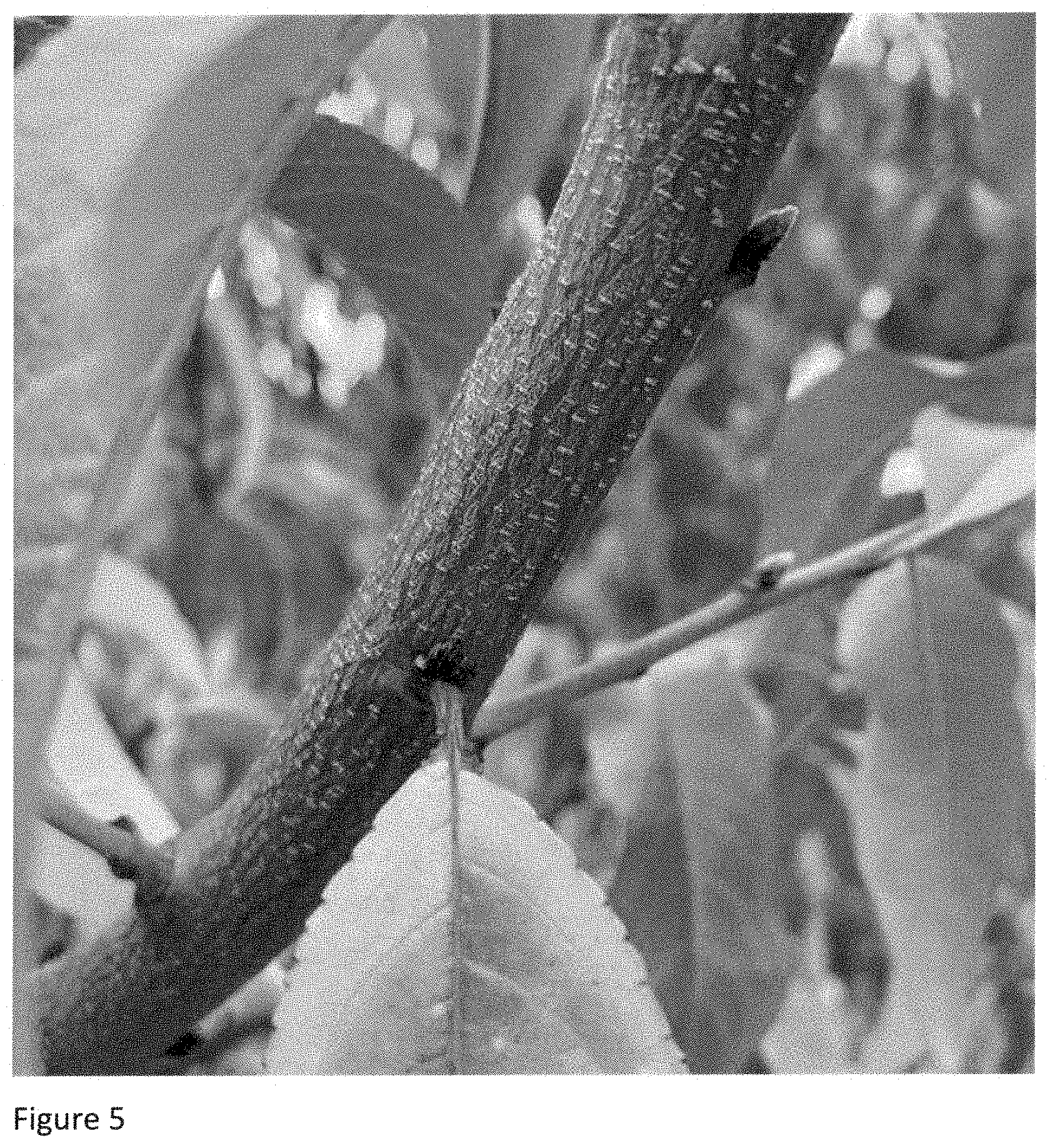 Patent USPP035394 Figure 5 – Peach tree named ‘NJ362’