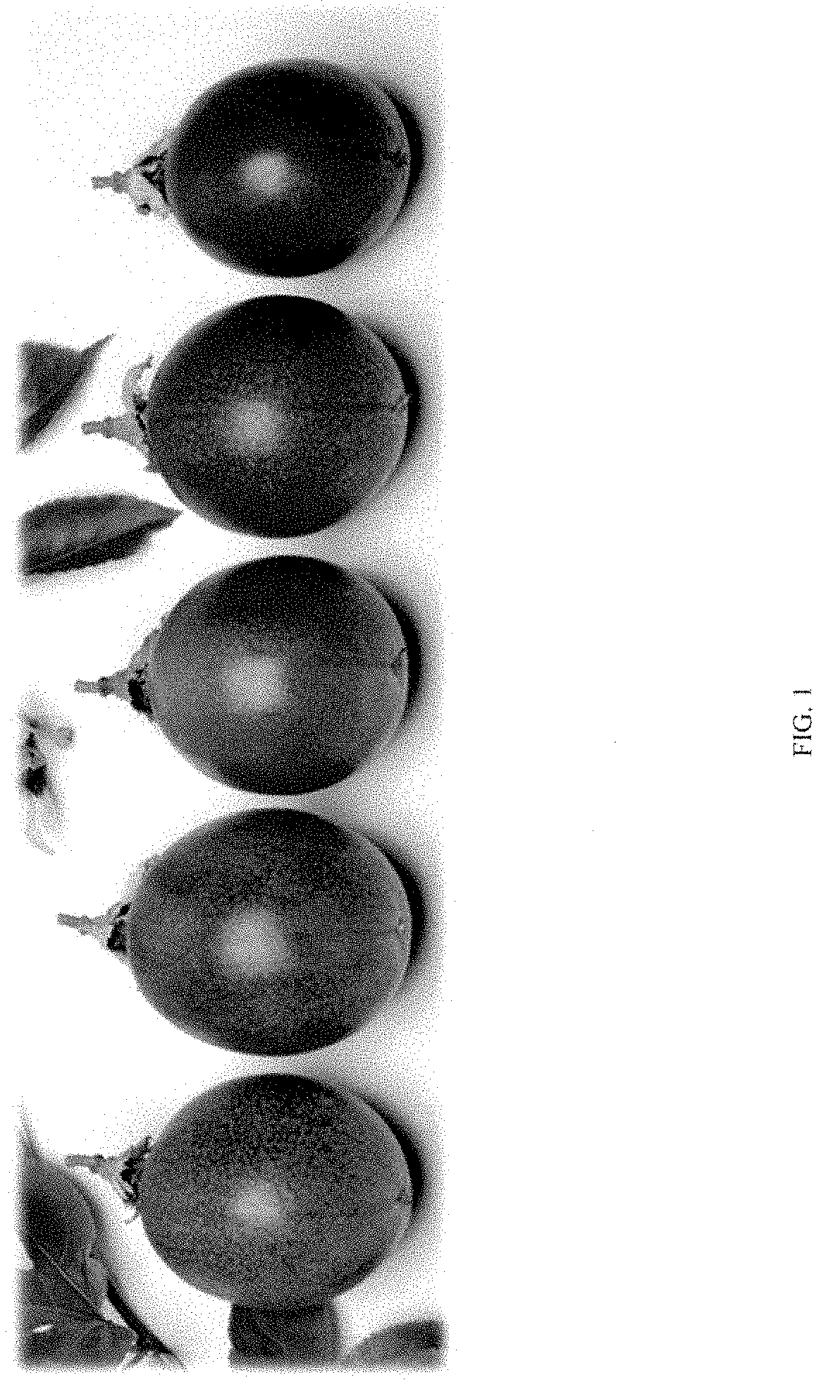 Patent USPP035408 Figure 1 – Passion fruit plant ‘Grand Passion’