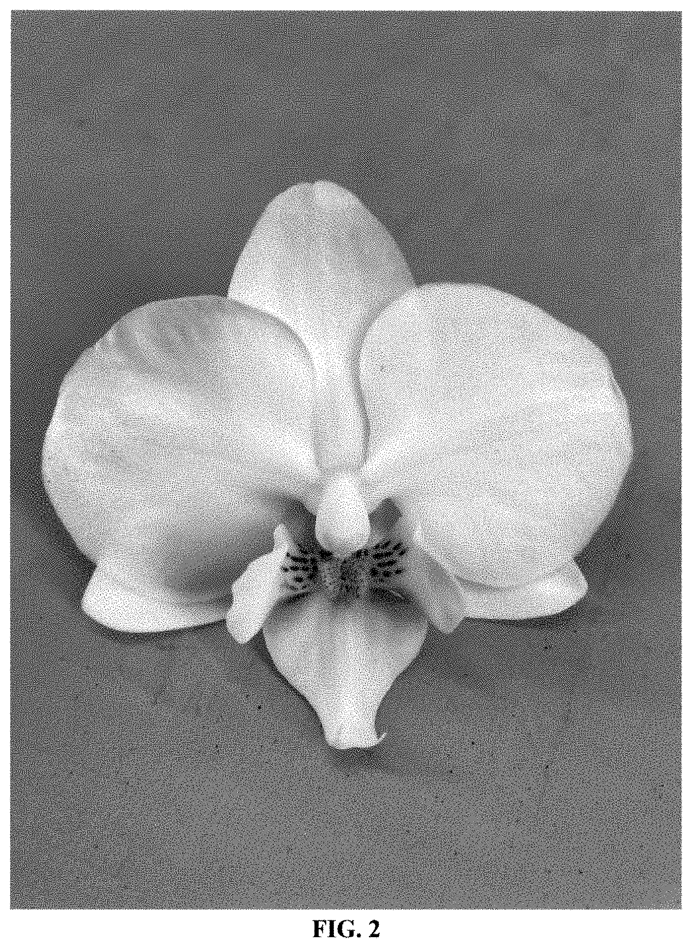 Patent USPP035418 Figure 2 – Phalaenopsis orchid plant named ‘PHA777427’