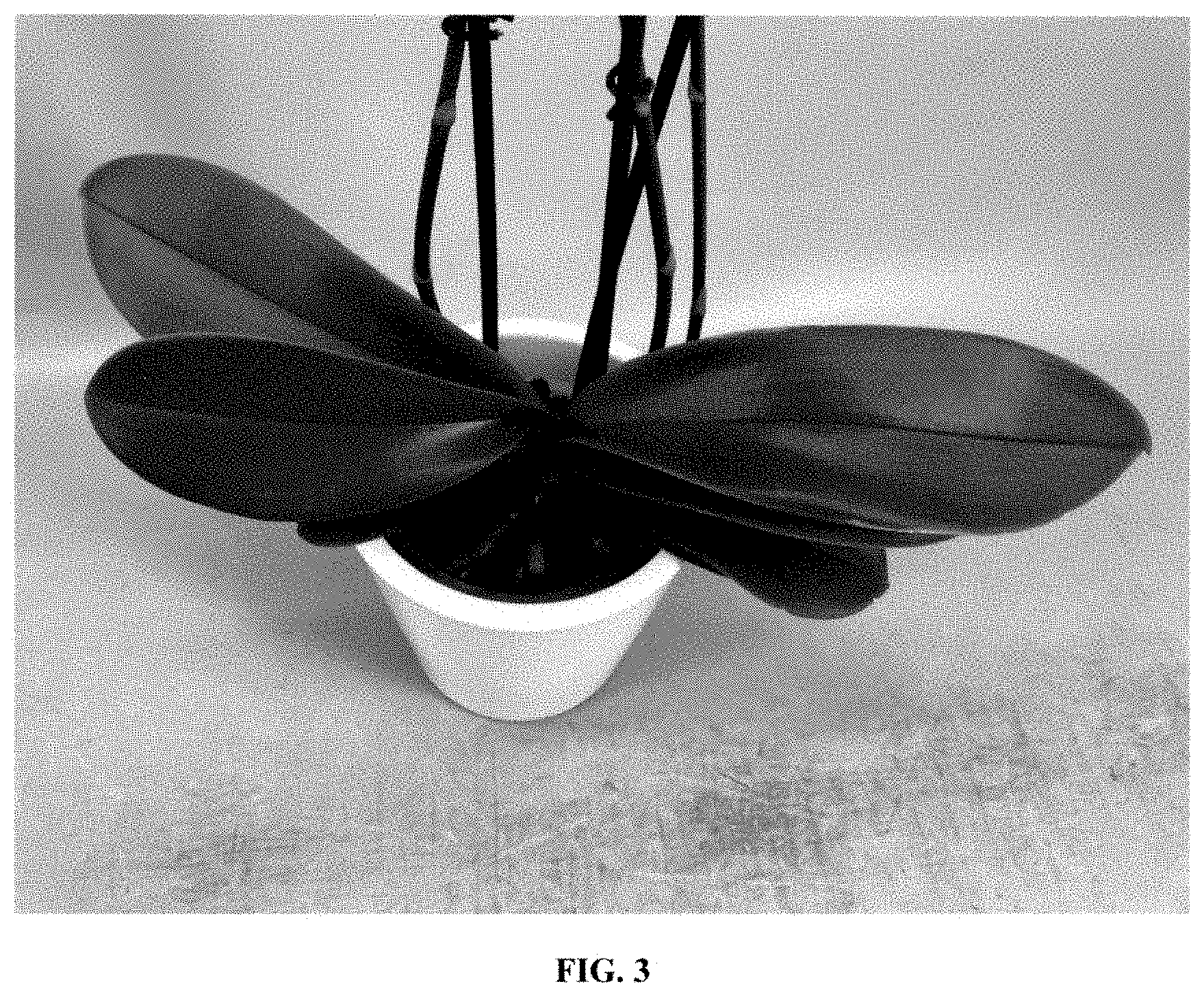 Patent USPP035418 Figure 3 – Phalaenopsis orchid plant named ‘PHA777427’