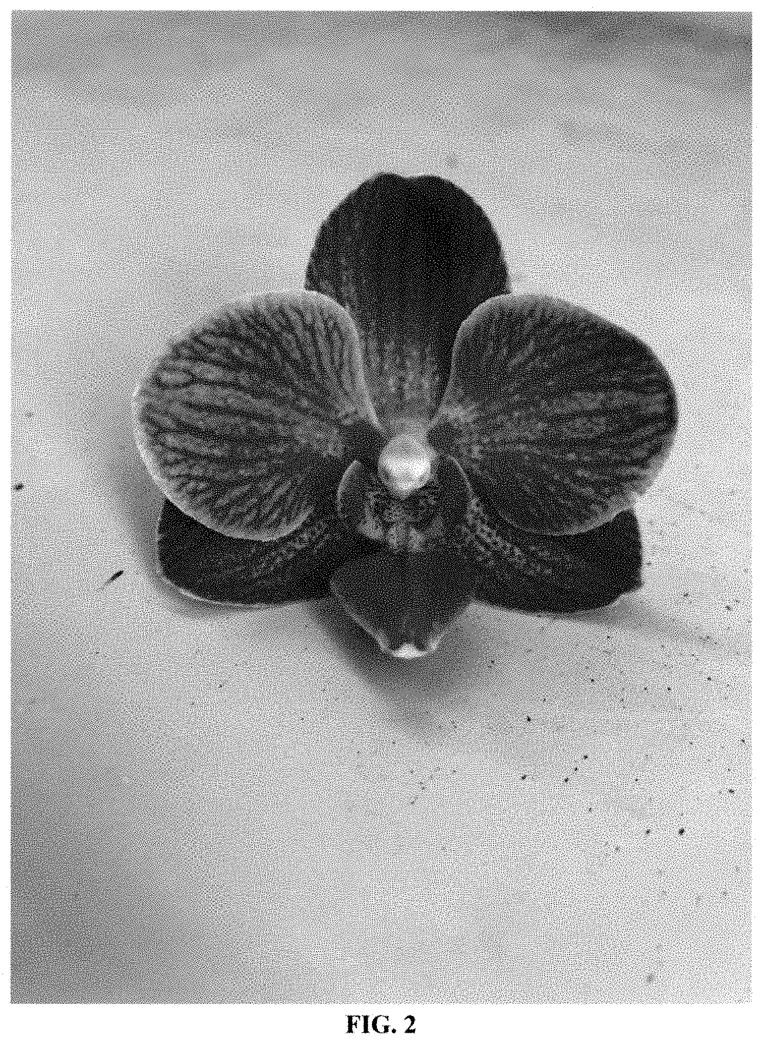 Patent USPP035419 Figure 2 – Phalaenopsis orchid plant named ‘PHA227444’