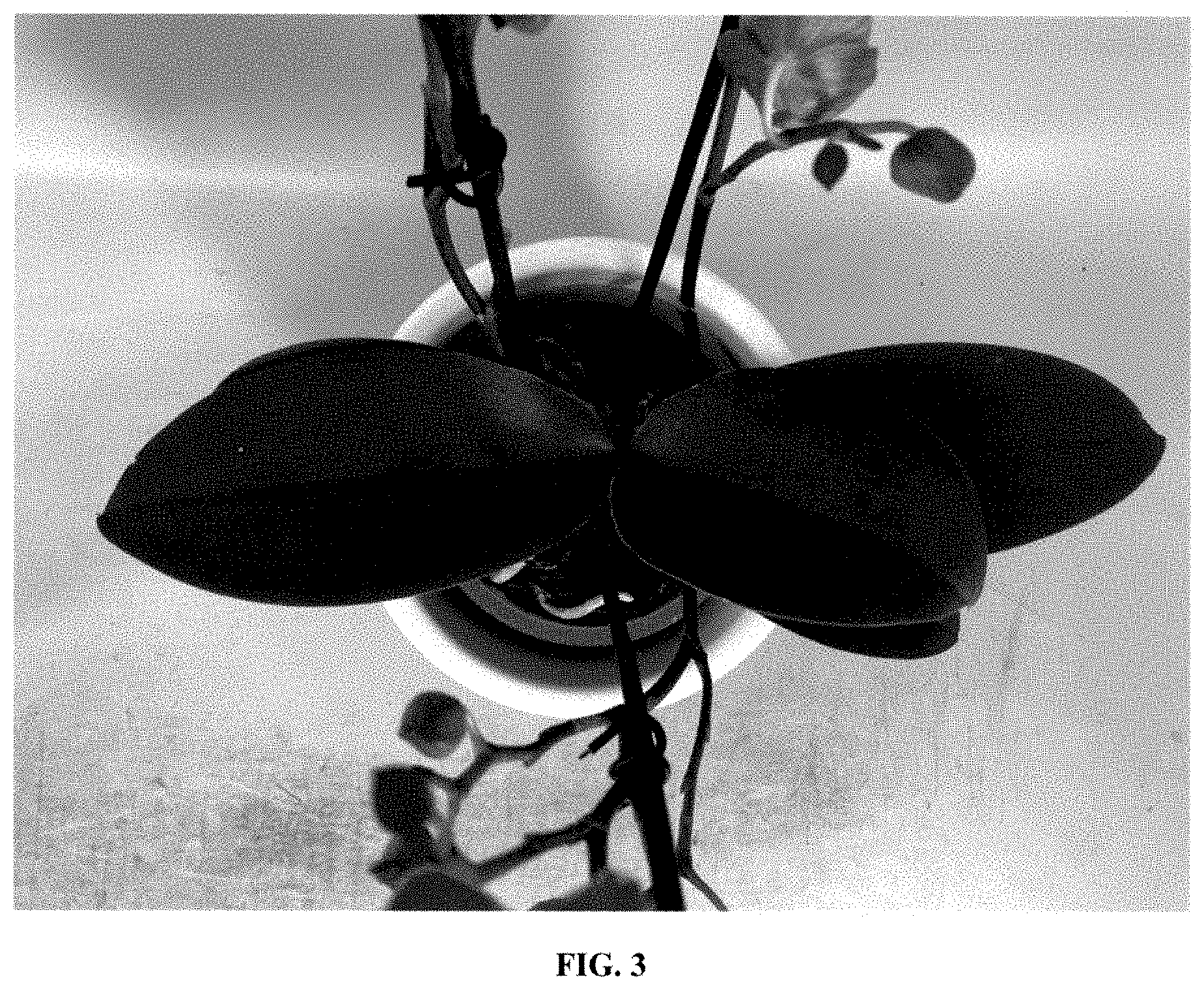 Patent USPP035419 Figure 3 – Phalaenopsis orchid plant named ‘PHA227444’