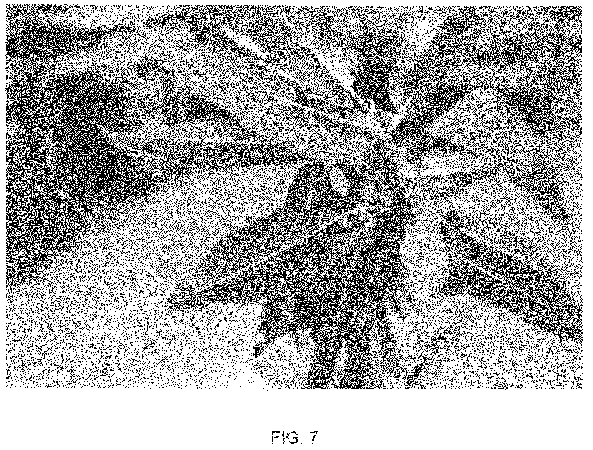 Patent USPP035421 Figure 7 – Almond tree named ‘PY1’