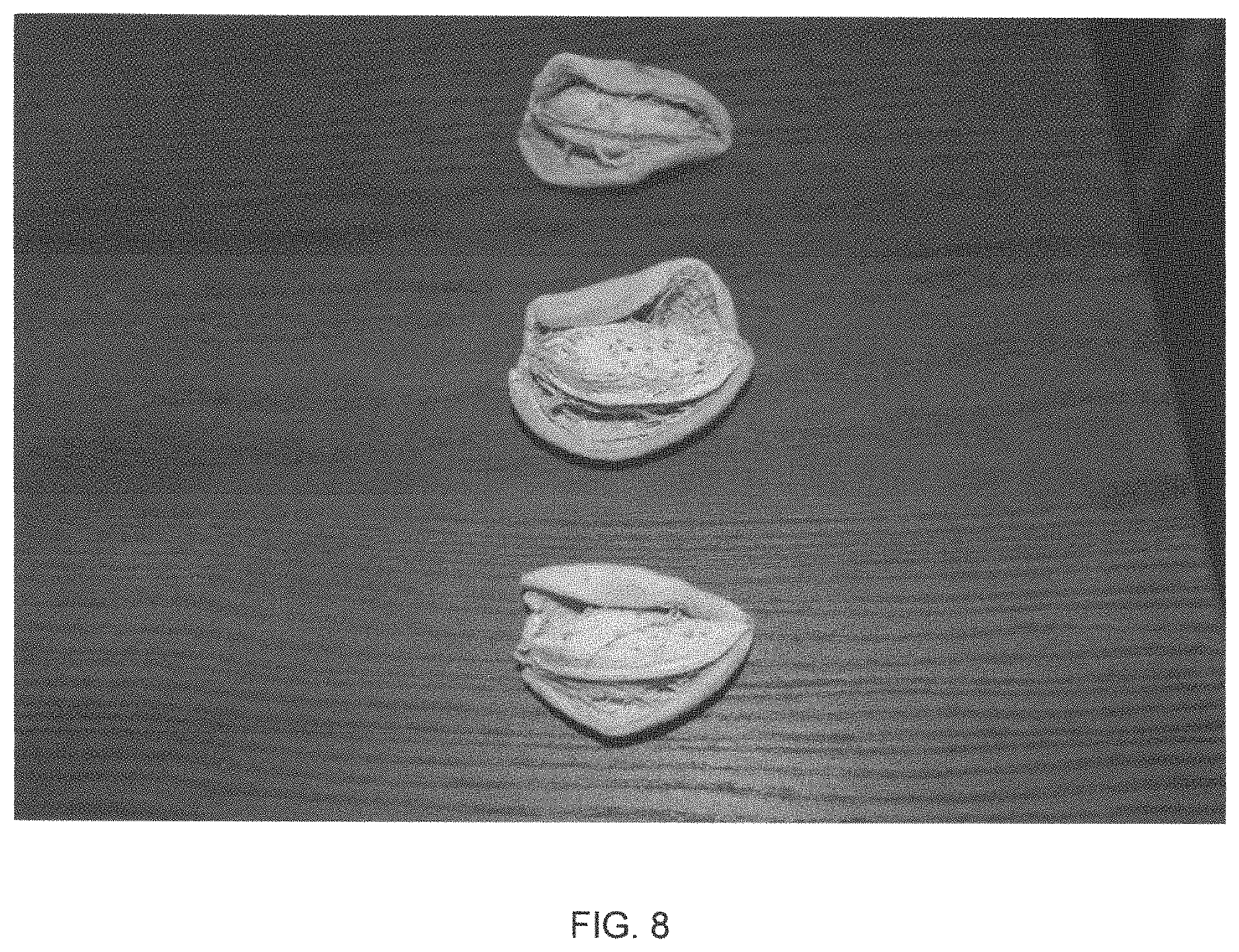 Patent USPP035421 Figure 8 – Almond tree named ‘PY1’