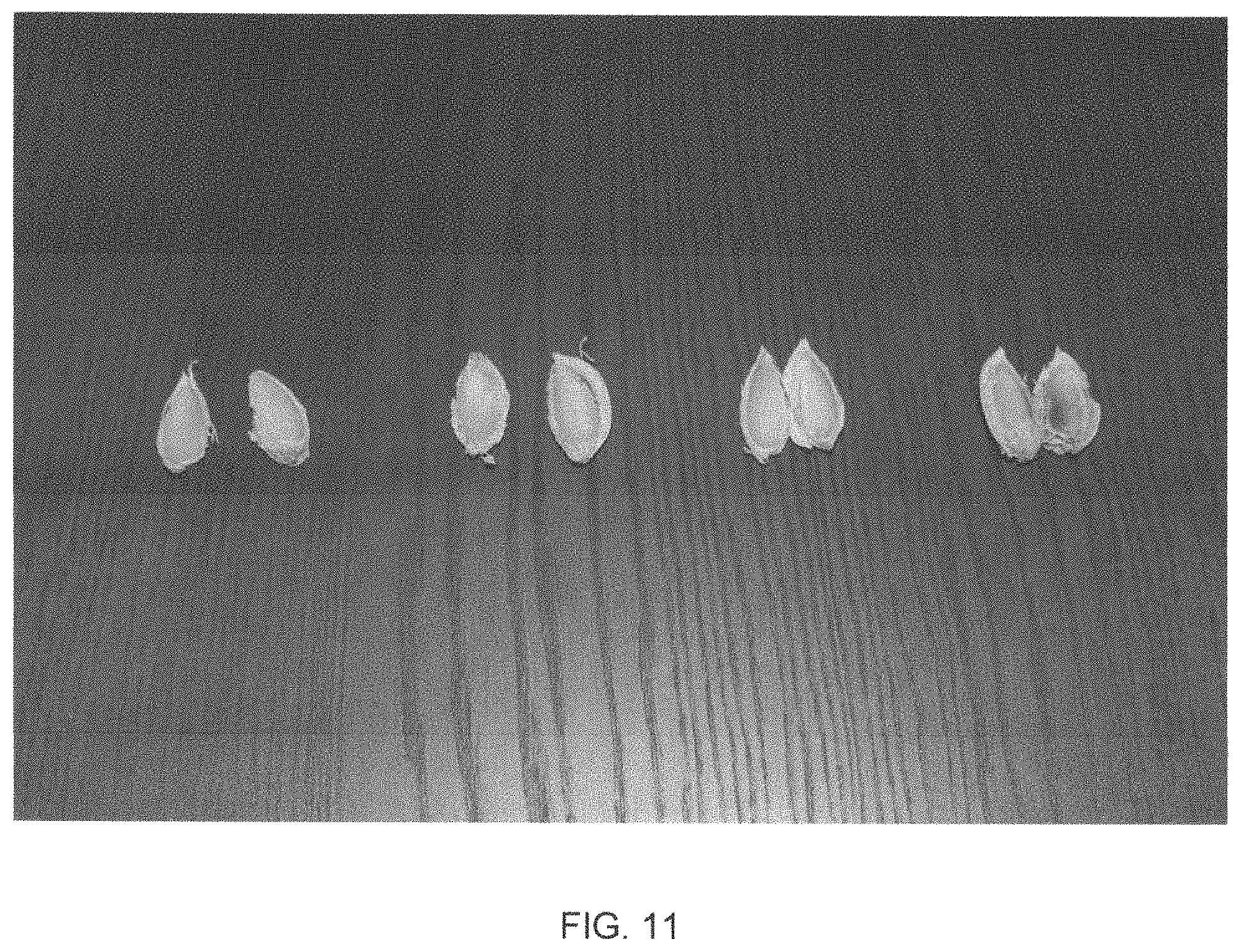 Patent USPP035421 Figure 11 – Almond tree named ‘PY1’
