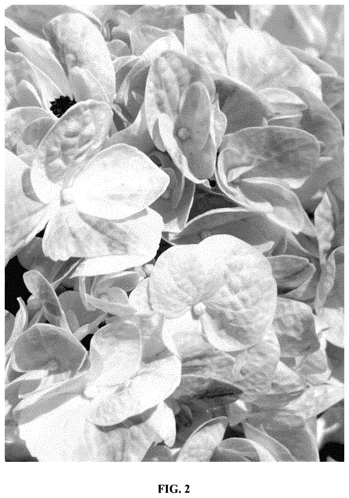 Patent USPP035422 Figure 2 – Hydrangea plant named ‘Hokomaverde’