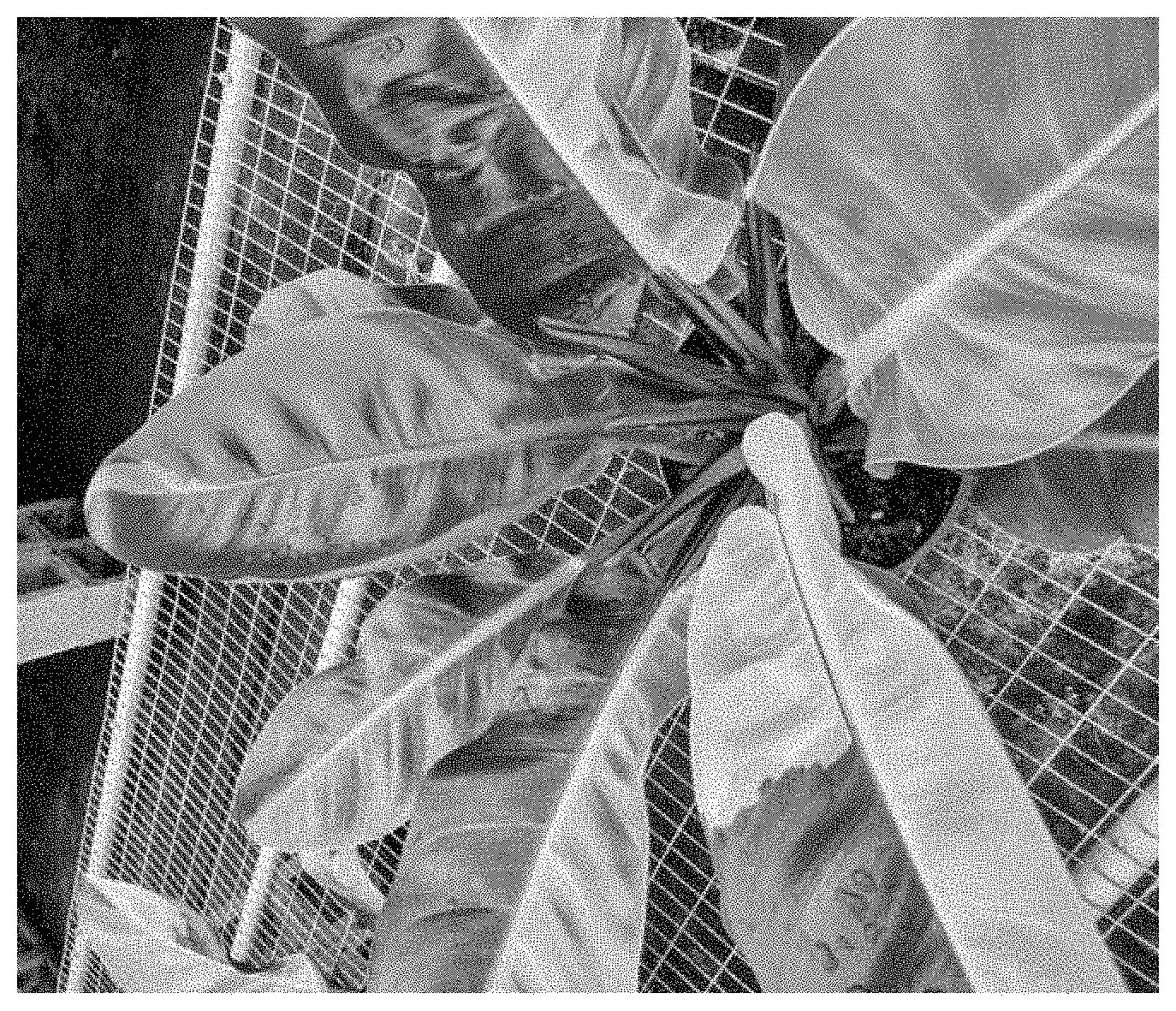 Patent USPP035428 Figure 2 – Philodendron red moon plant named ‘Fire Moon’