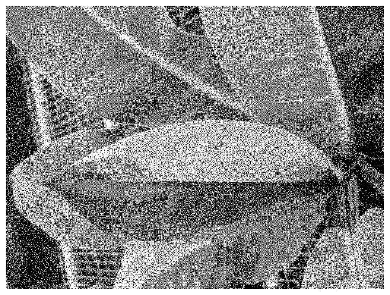 Patent USPP035428 Figure 3 – Philodendron red moon plant named ‘Fire Moon’