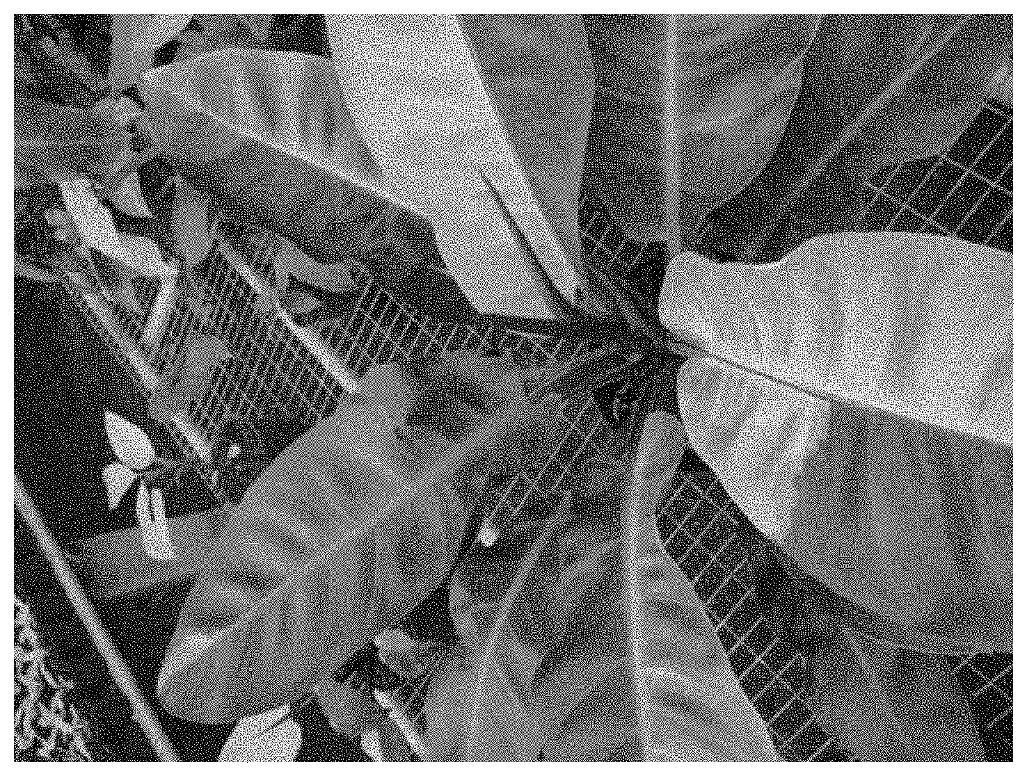 Patent USPP035428 Figure 4 – Philodendron red moon plant named ‘Fire Moon’