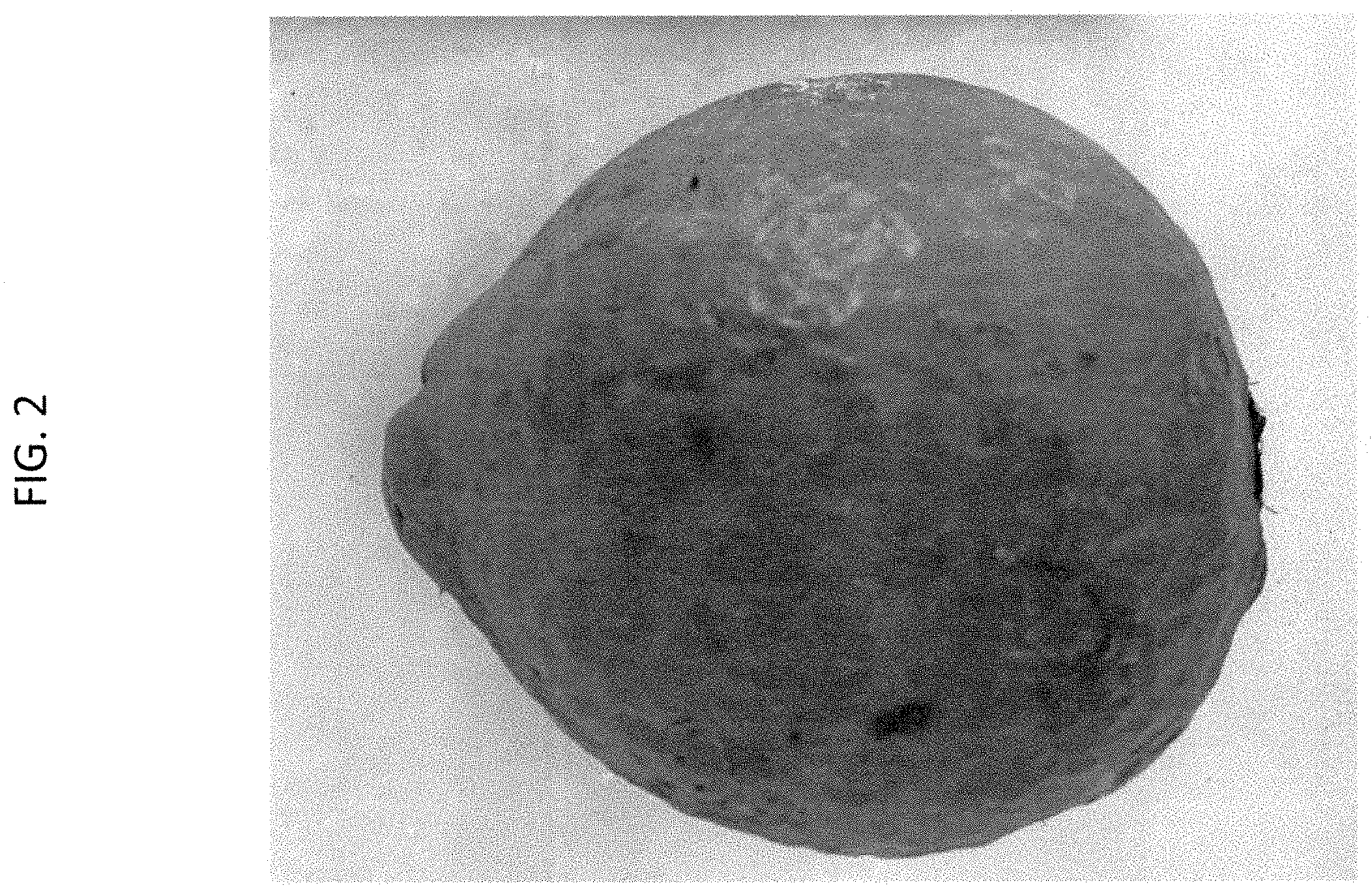 Patent USPP035433 Figure 2 – Psidium plant named ‘SERRATO 29’