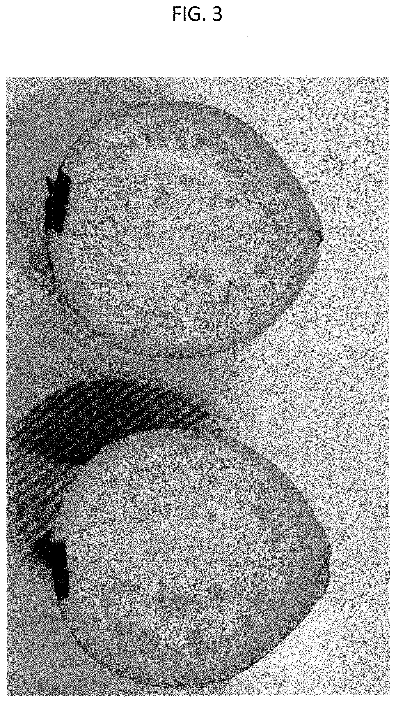 Patent USPP035433 Figure 3 – Psidium plant named ‘SERRATO 29’