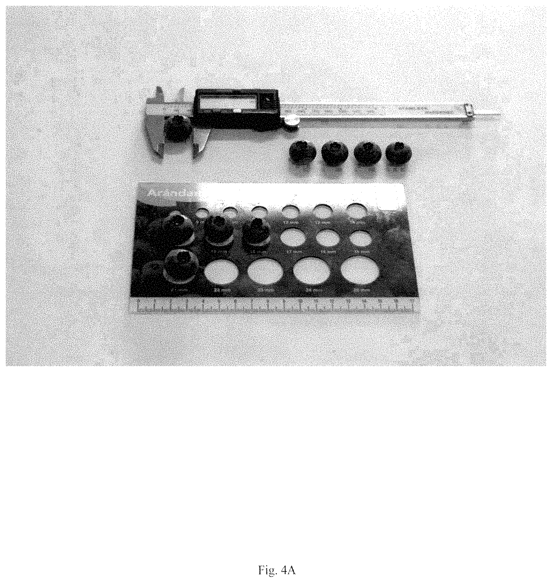 Patent USPP035435 Figure 5 – Blueberry plant named ‘BB17-321PT-1’